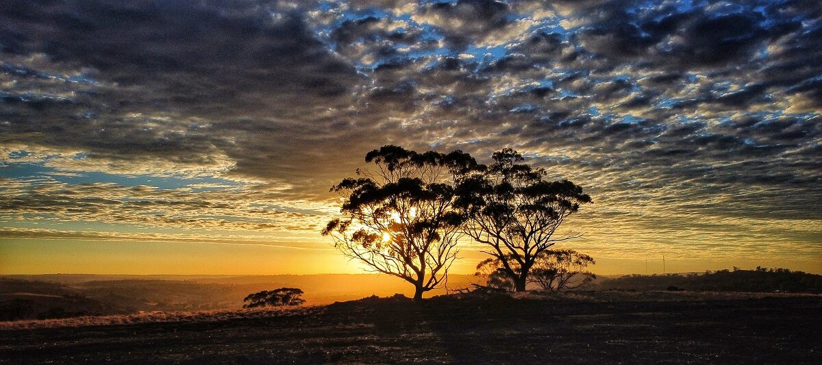 Toodyay A small.jpg