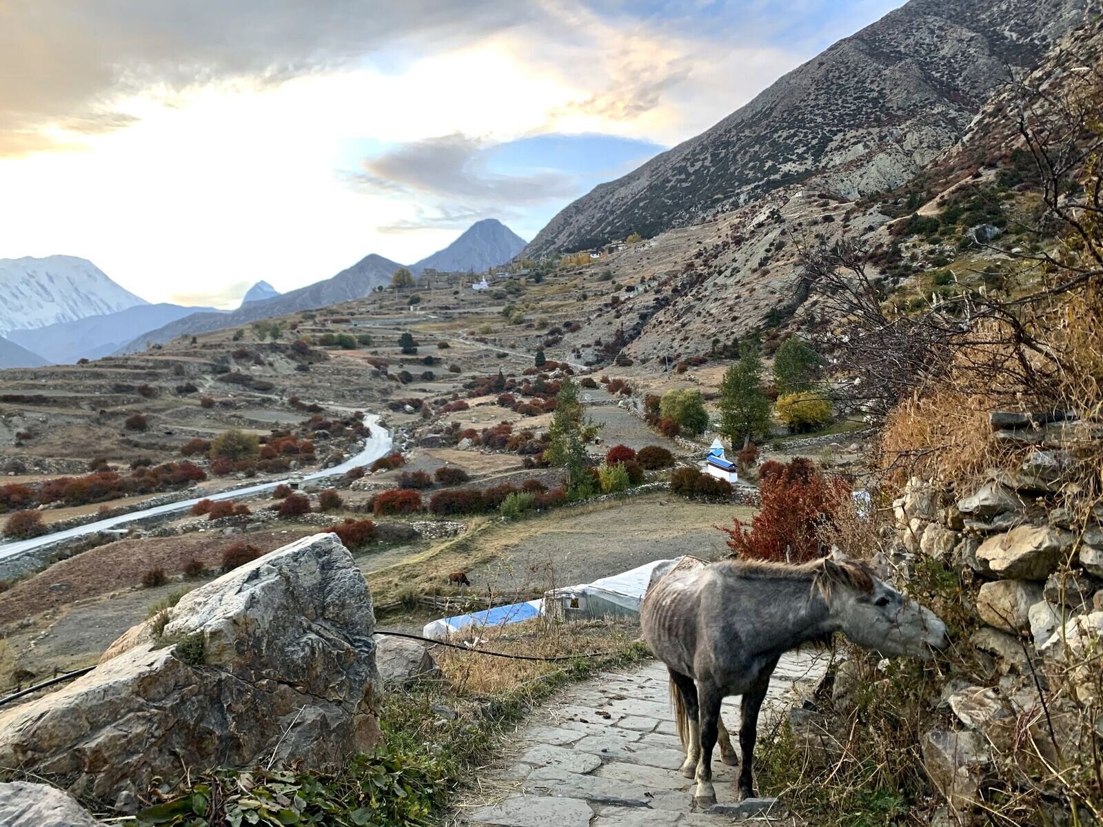 Upper-Manang.jpeg