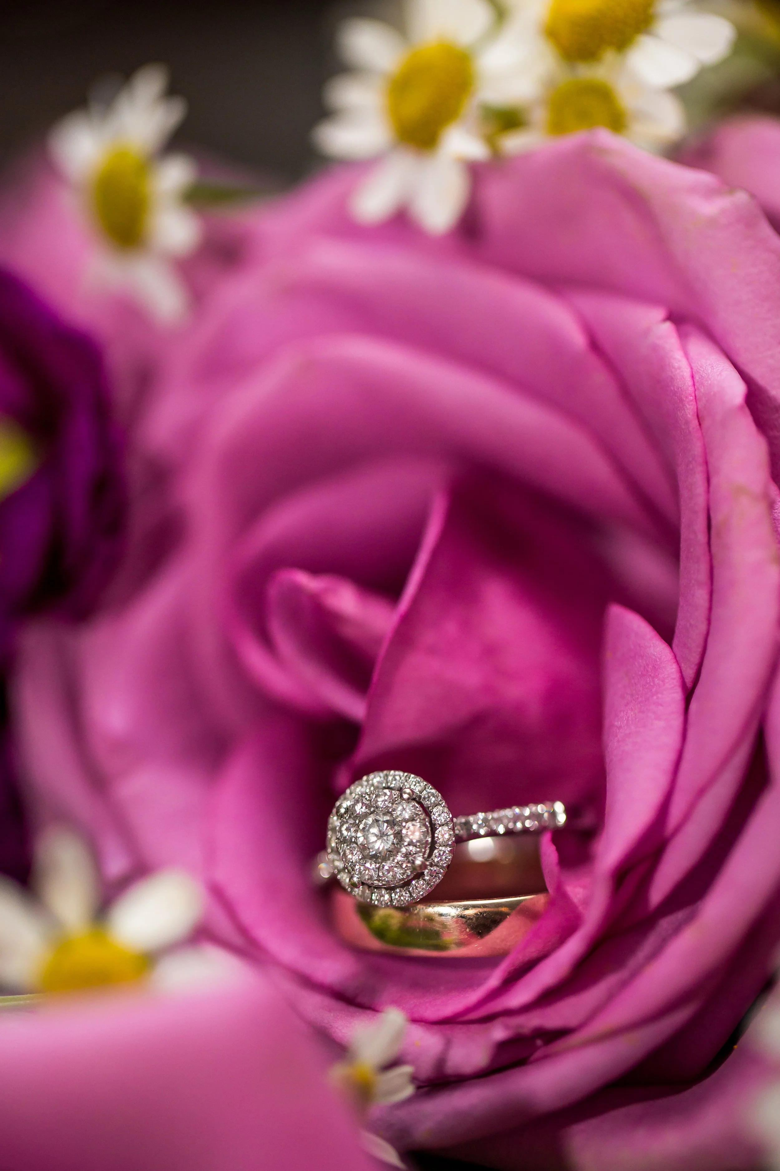 Persian Weddings | Traditions, Customs &amp; Trends