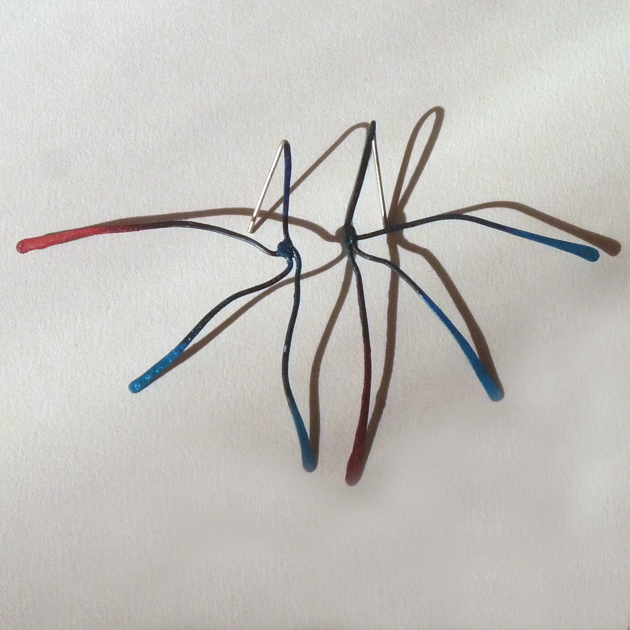 Araignées bleu-rouge