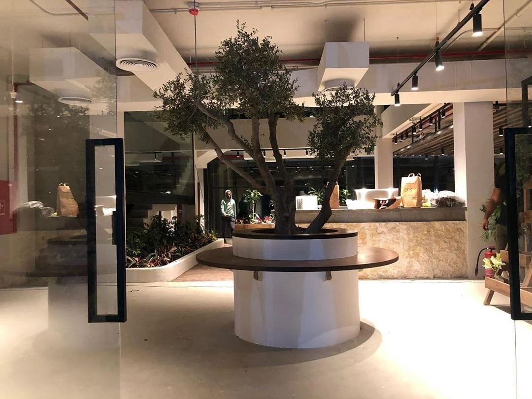 WhatsApp Image 2020-06-16 at 2.47.18 PM (2).jpeg