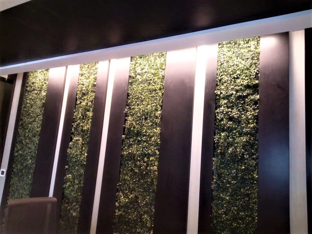 WhatsApp Image 2020-09-17 at 4.42.15 PM.jpeg