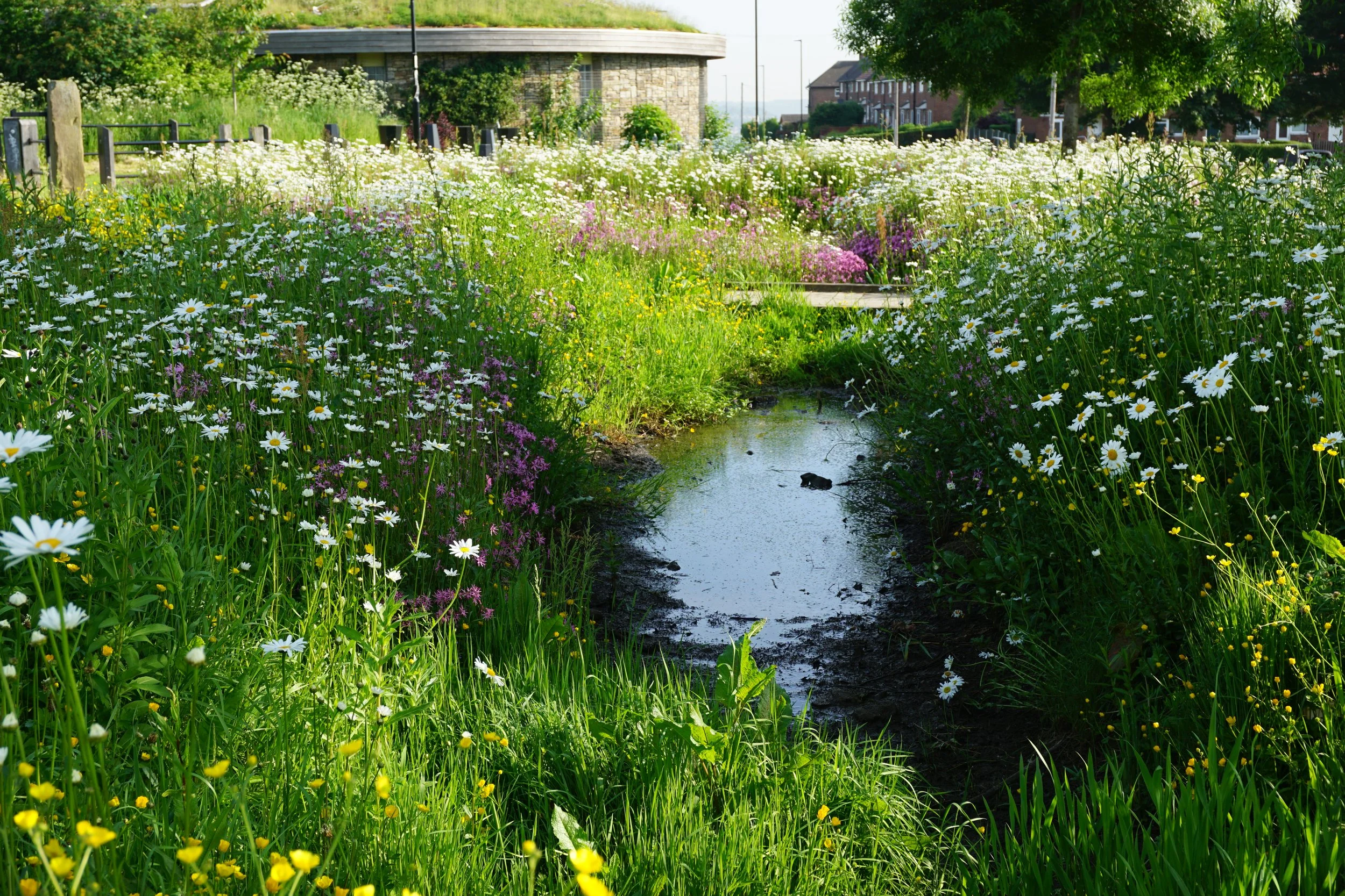 PDFEnhancing Sustainable Communities With Green Infrastructure