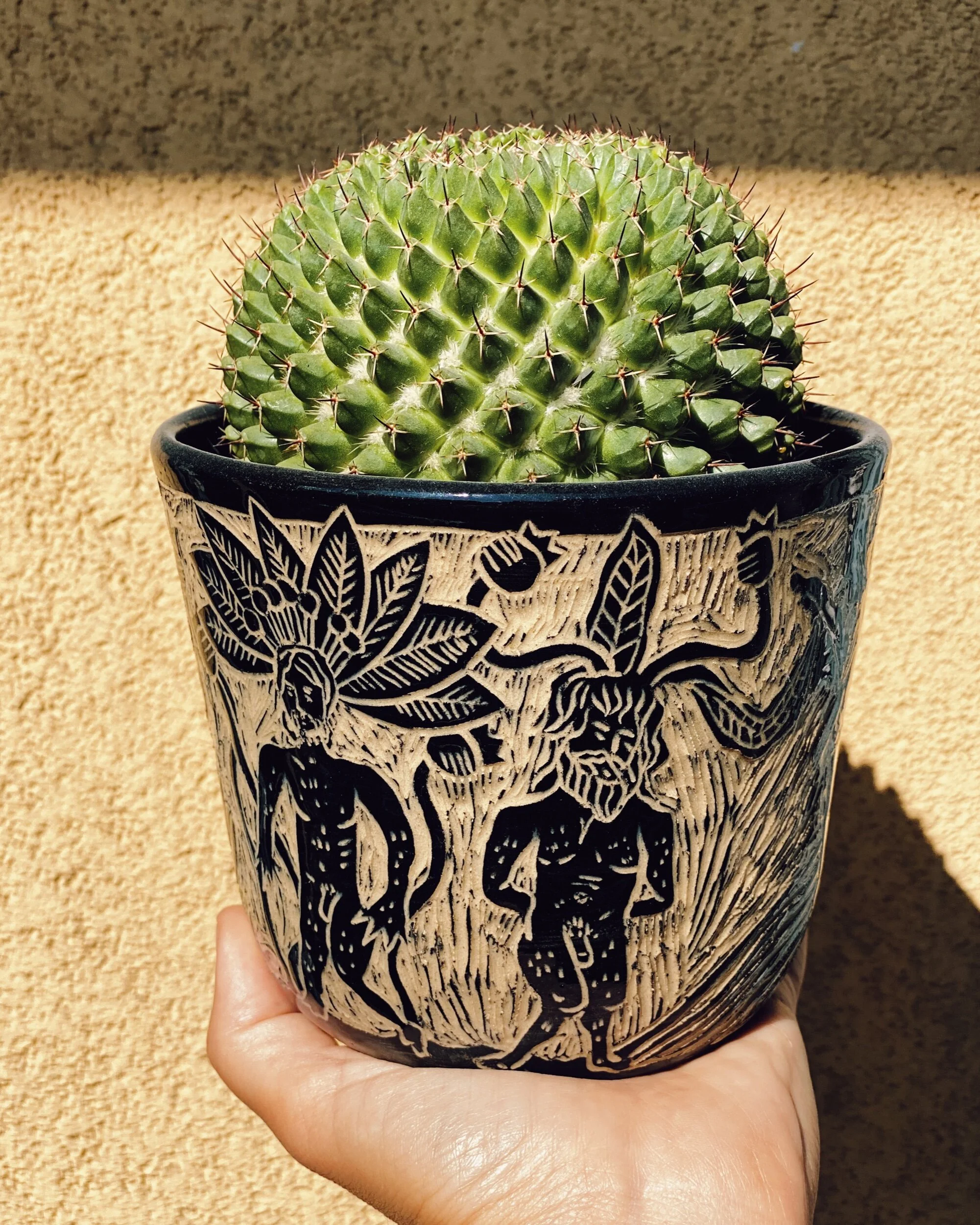 1C36397A-CC2F-4C0E-866A-CAC703D1B1AA