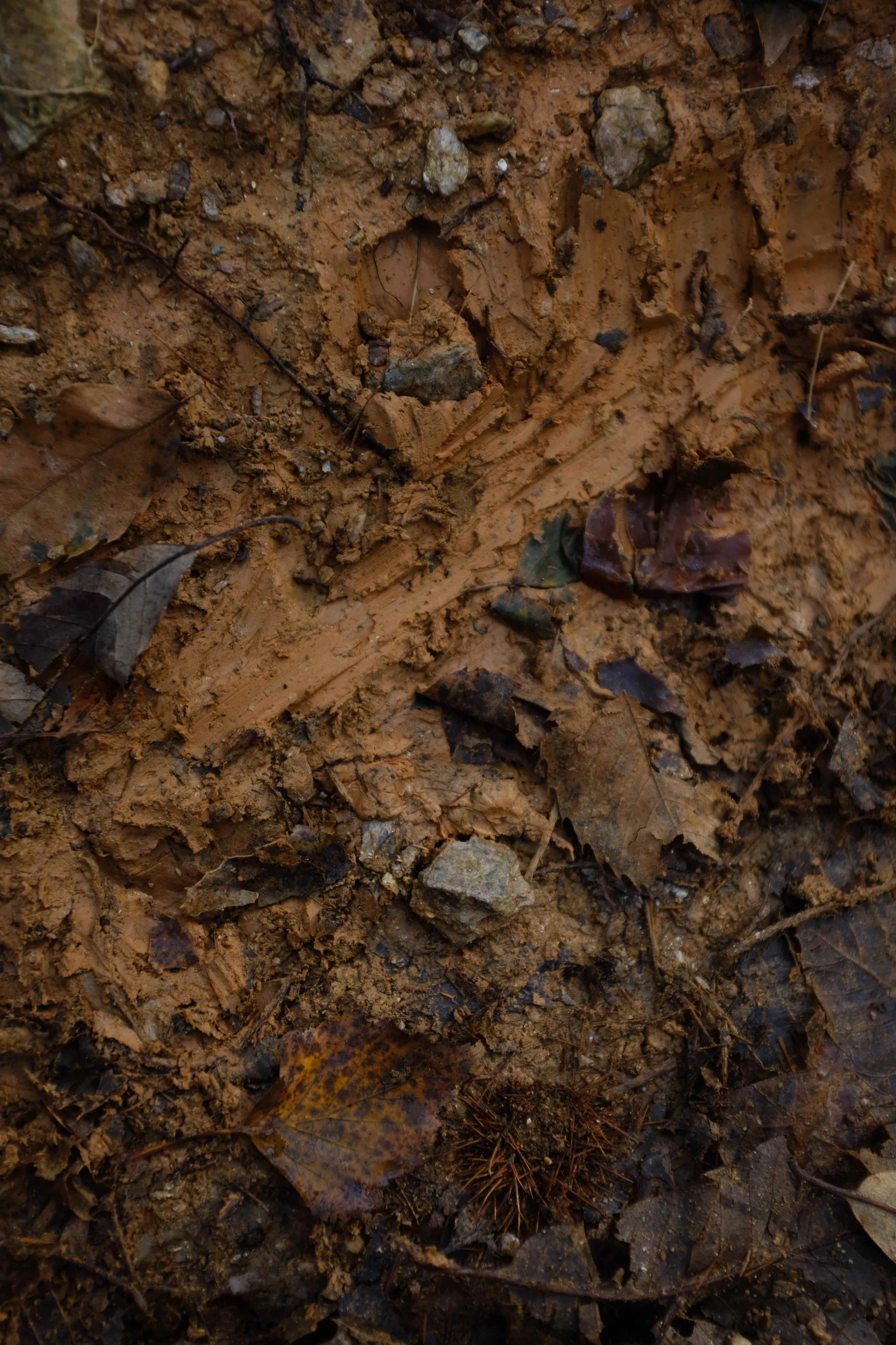 Dark red clay.jpg
