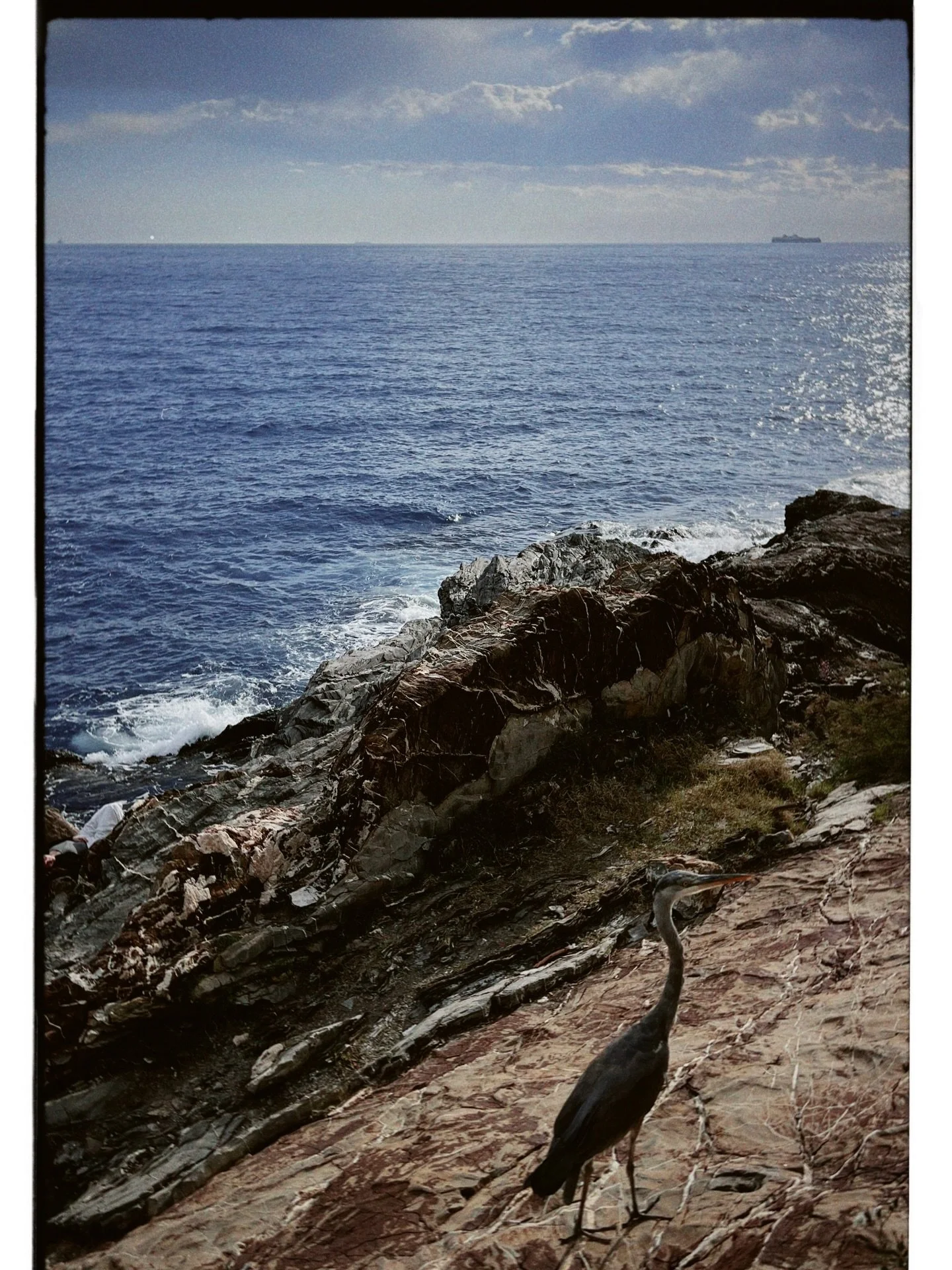 He was catching crabs, I guess.