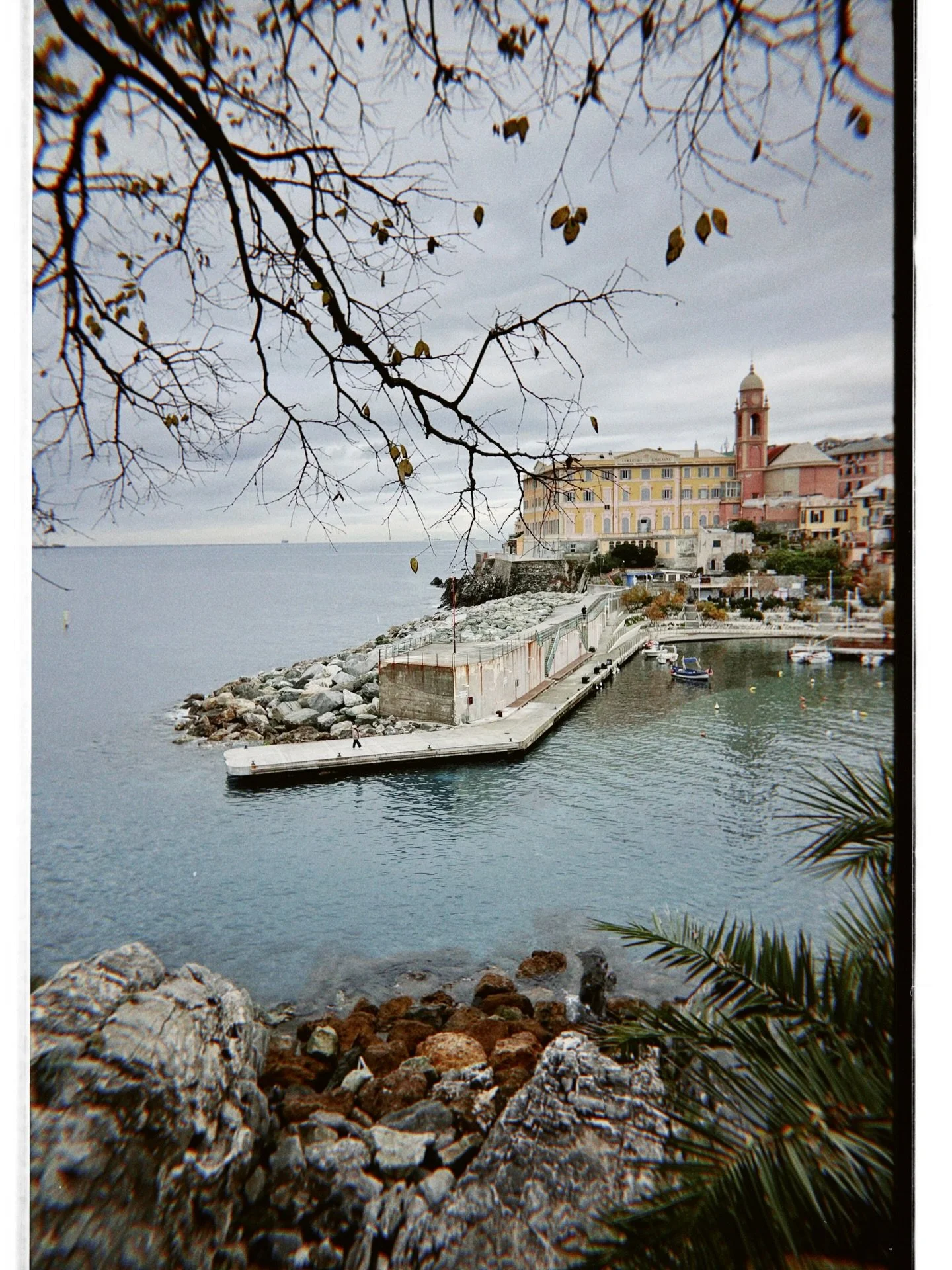il porticciolo di Nervi in inverno ❄️ 

#artresidency #contemporaryceramics #genova