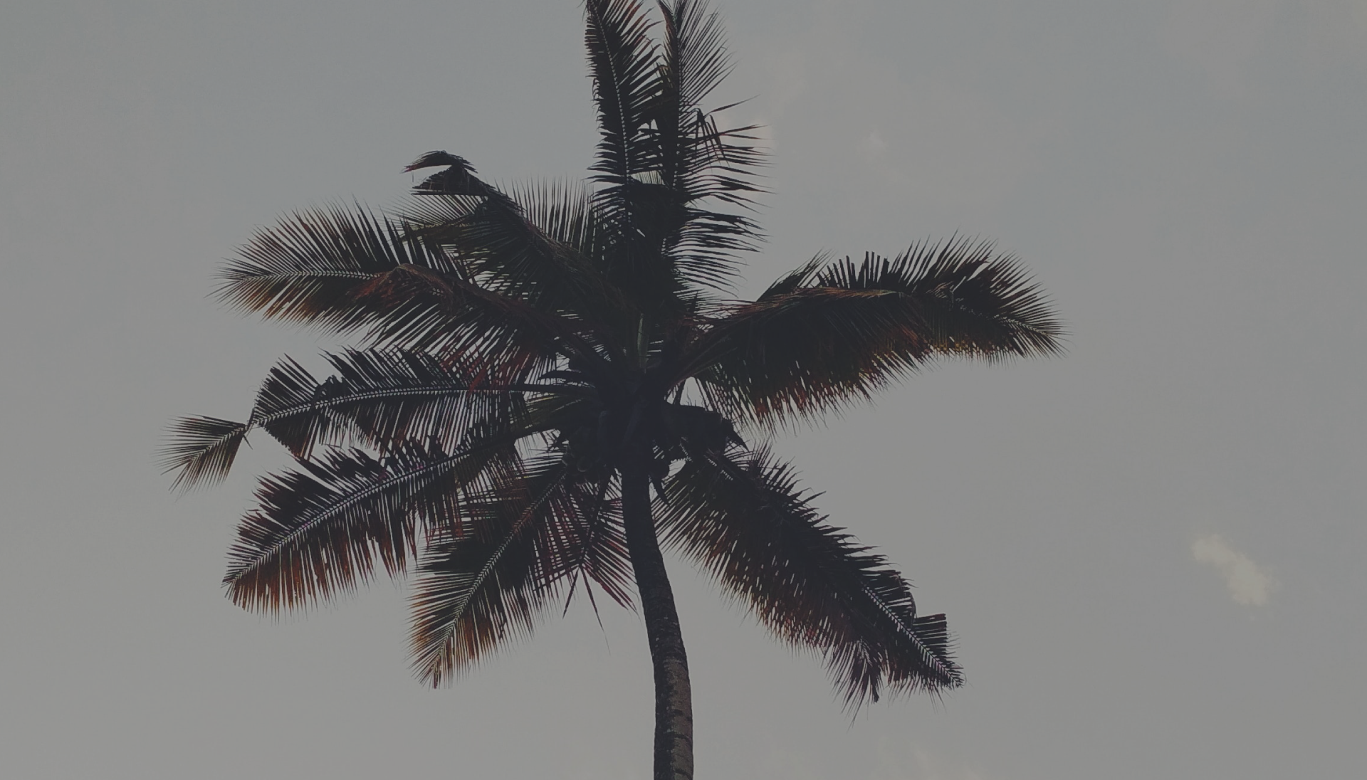My First Trip South….Almost