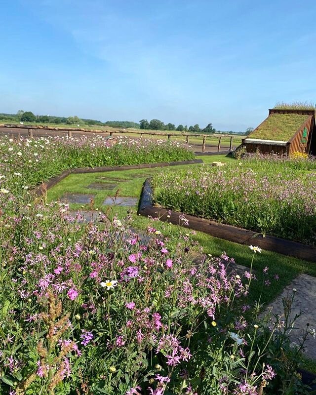 Doing the rounds today and Wowgrass HQ is looking lovely in the sunshine. ☀️ We have a nice bay of Wowgrass ready and waiting for when events are back up &amp; running. 💚🌱
.
.
#eventsturf #grassforevents #bringingtheoutdoorsin #wowgrass #londoneven