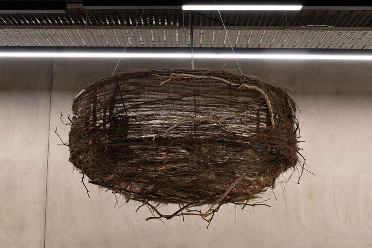 First Peoples are Australia’s First Scientists