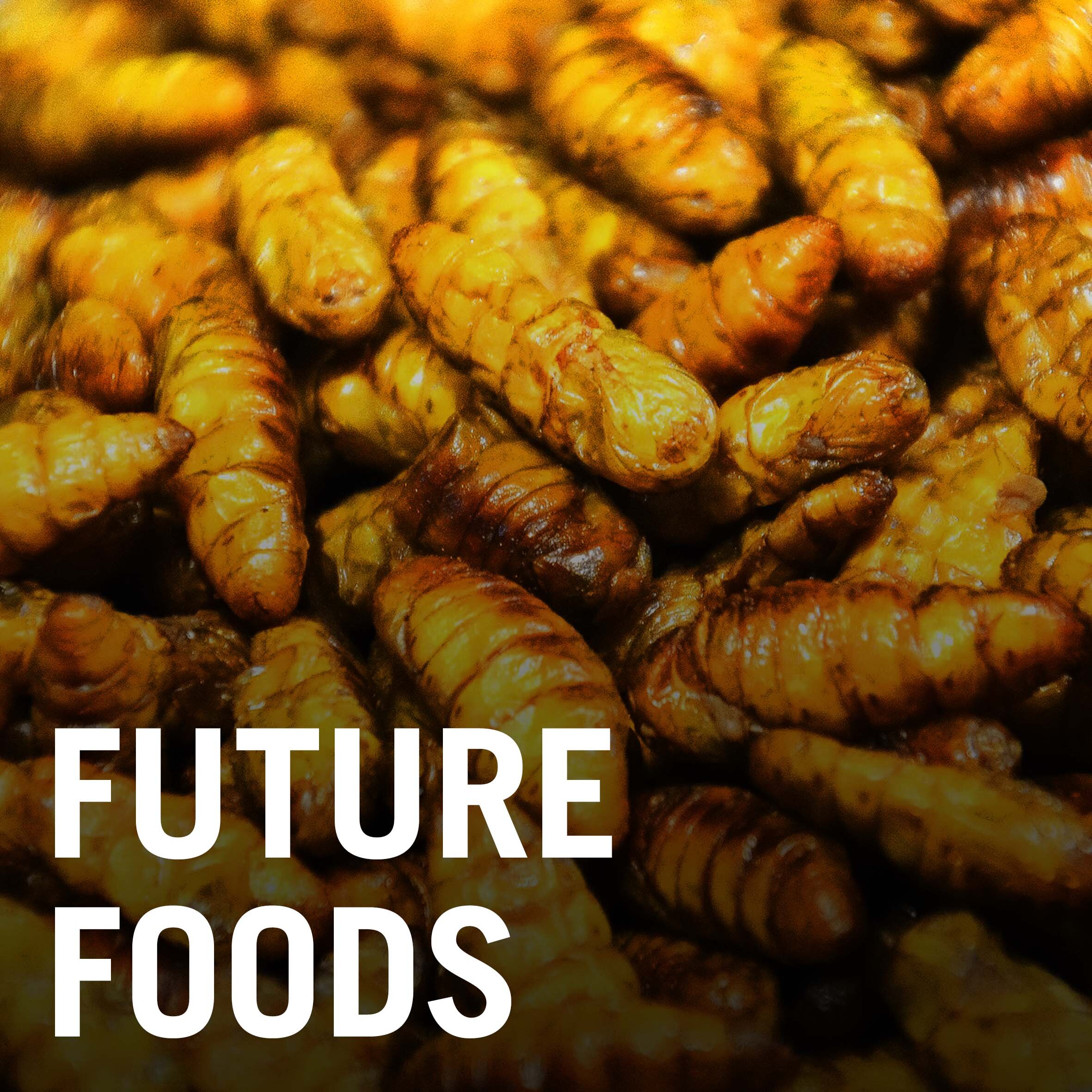Future Foods