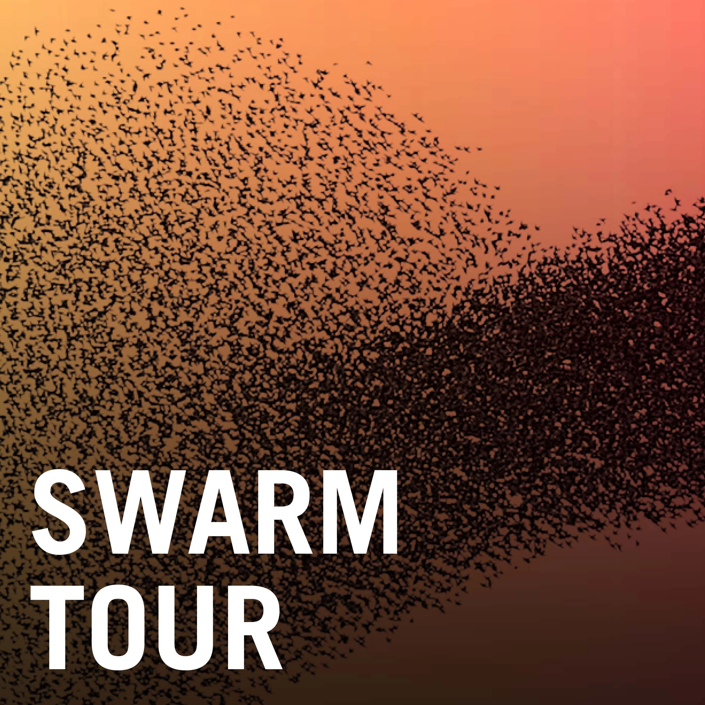 SWARM Tour
