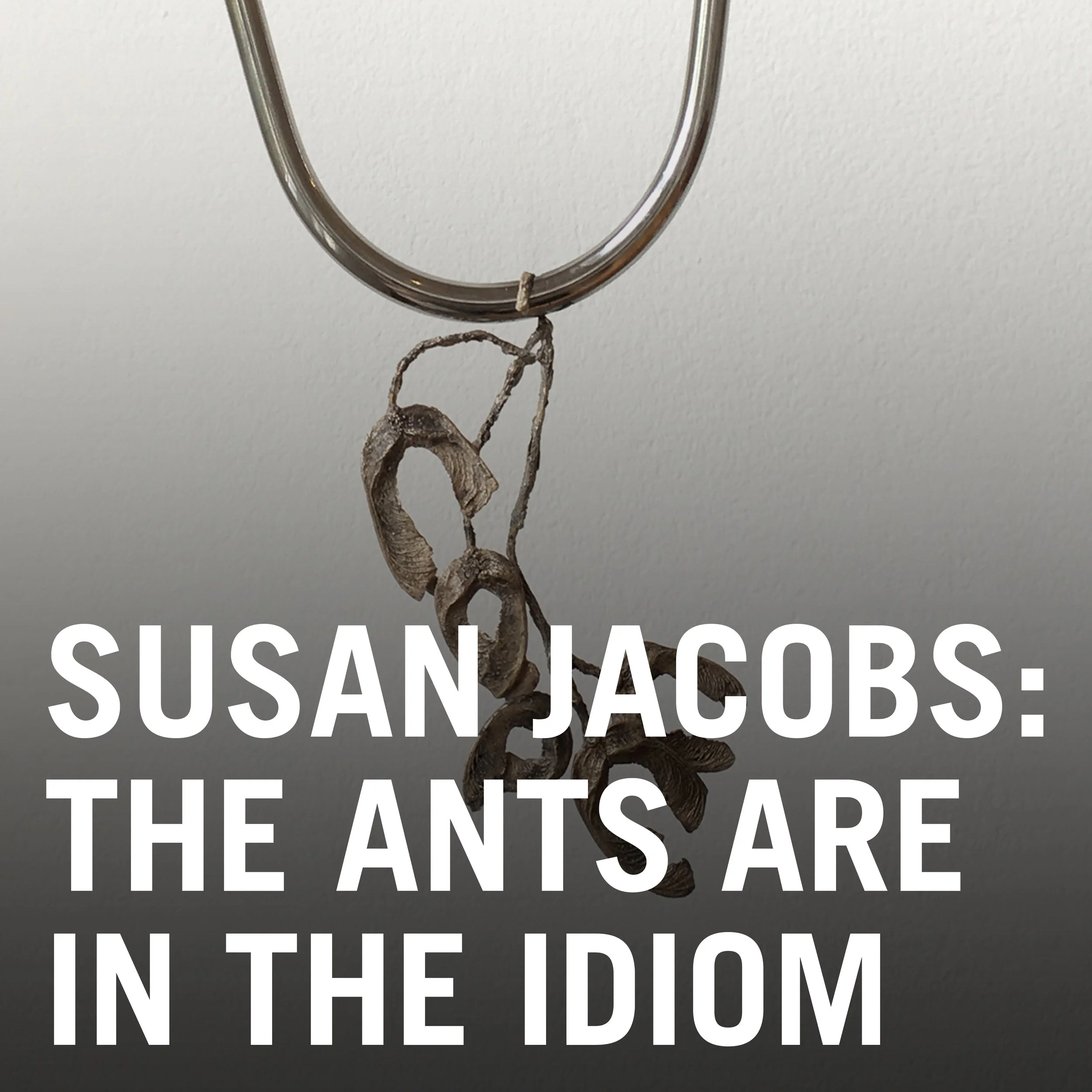 Susan Jacobs: The ants are in the idiom 