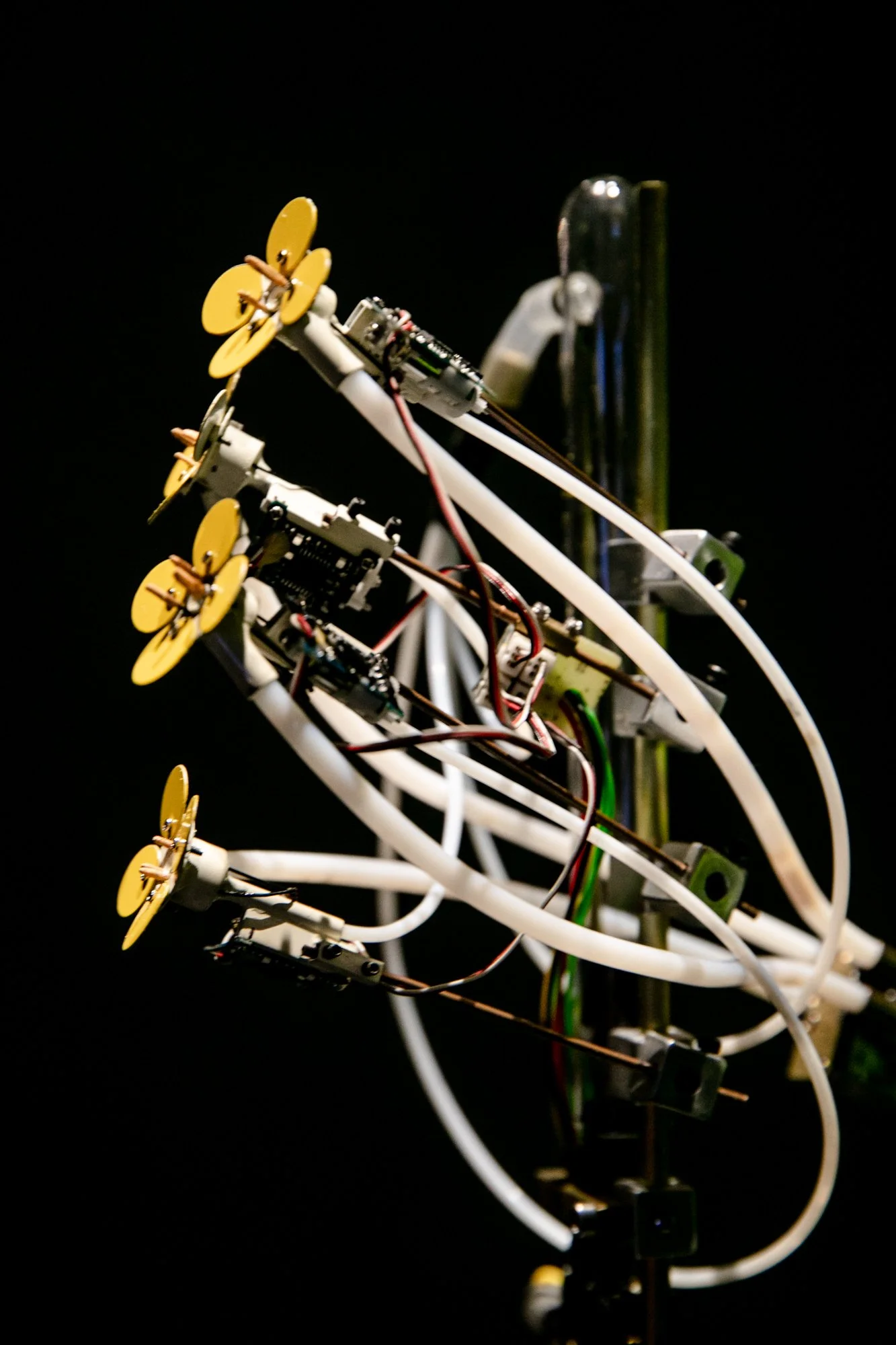 Synthetic Pollenizer — Science Gallery Melbourne