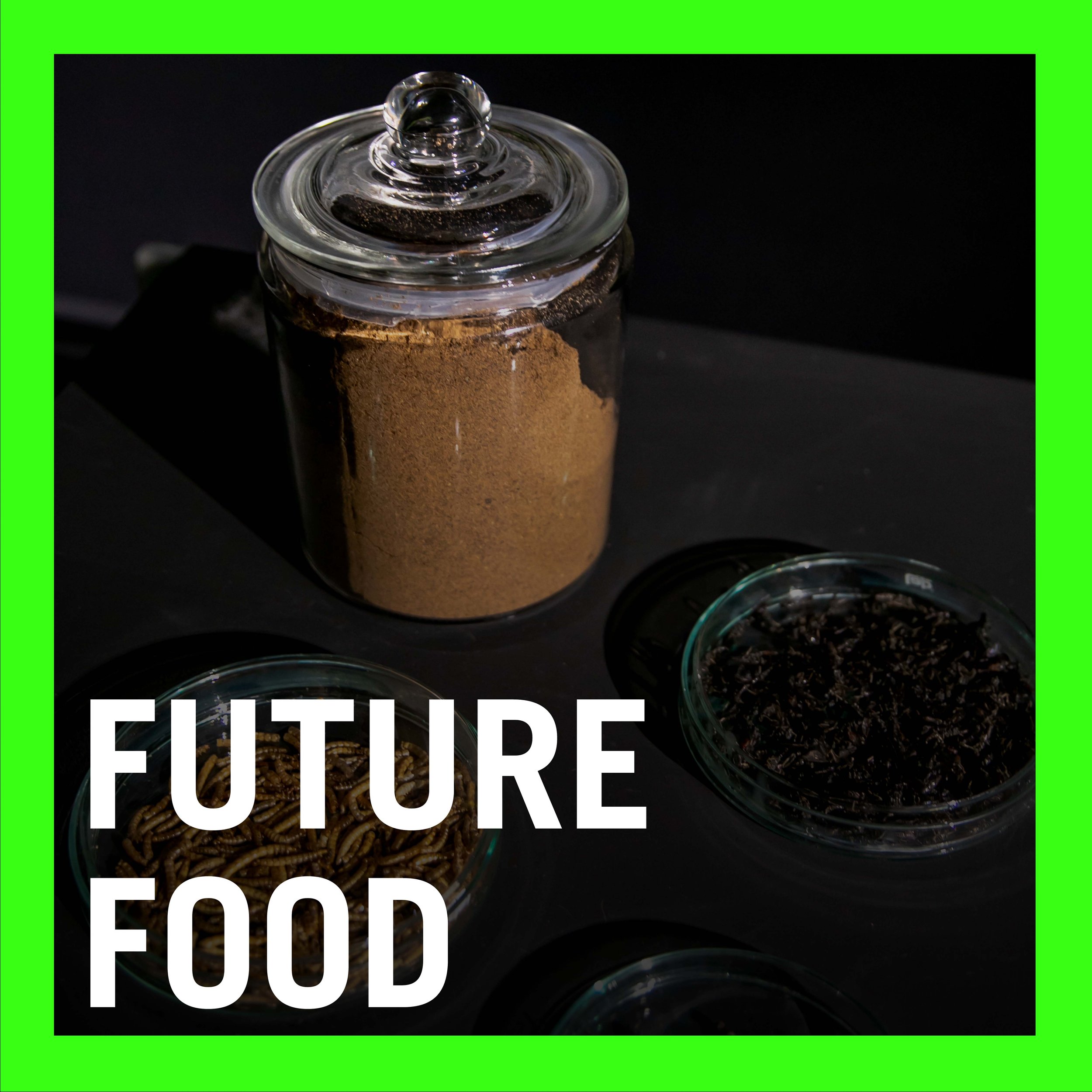 Future-Food_square.jpg