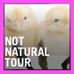Not Natural Tour.jpg