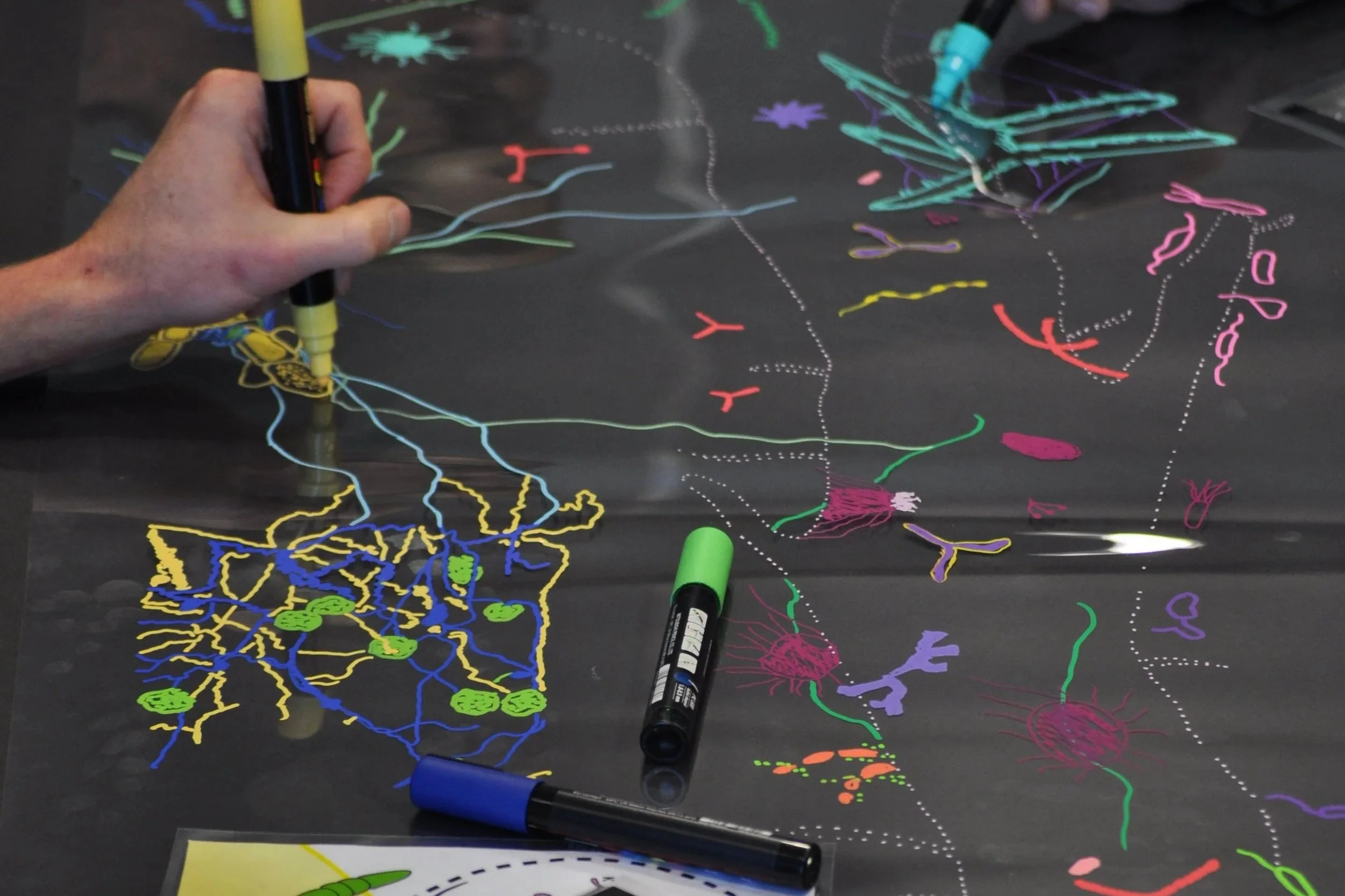 Grow a Drawing with Briony Barr