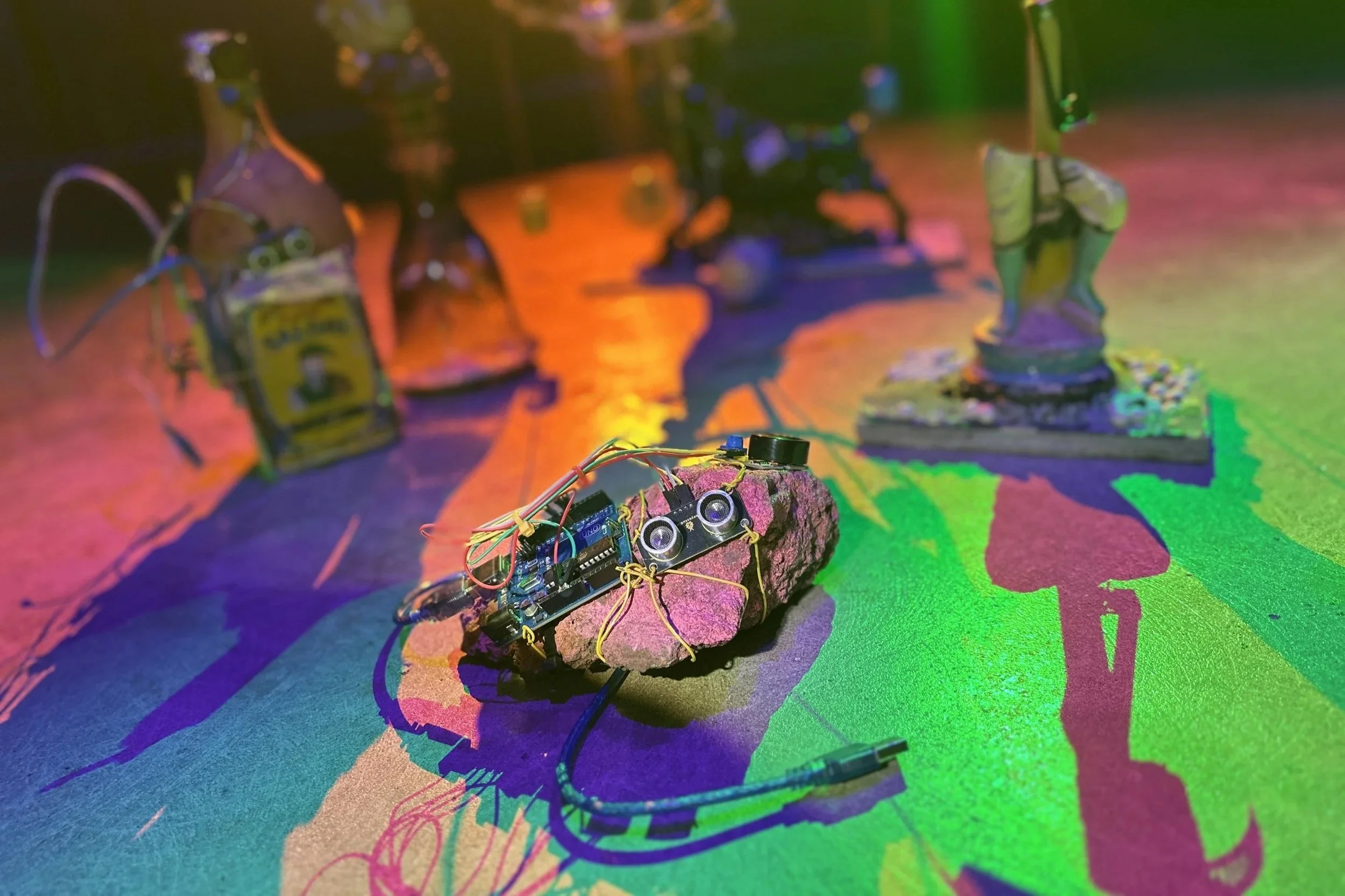 Friday Night Social: Wild Circuits