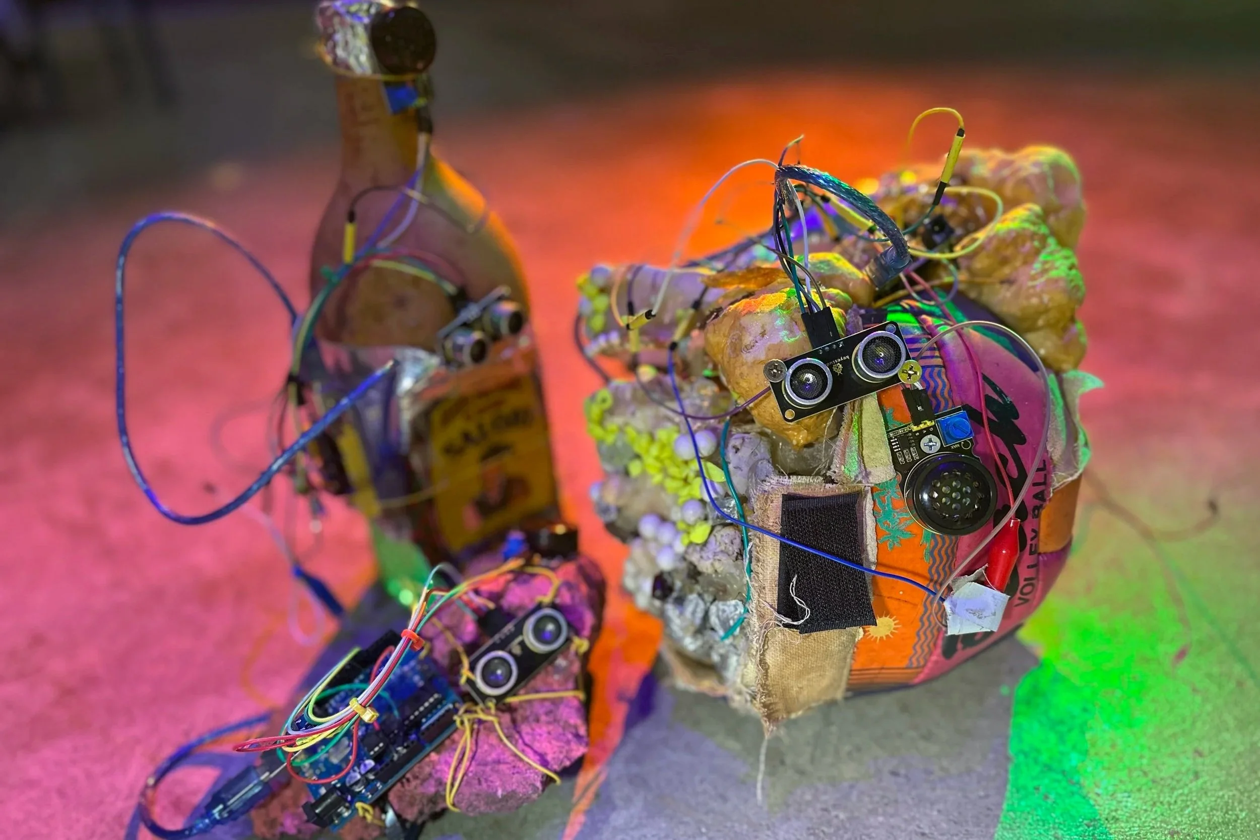 Wild Circuits: Installation