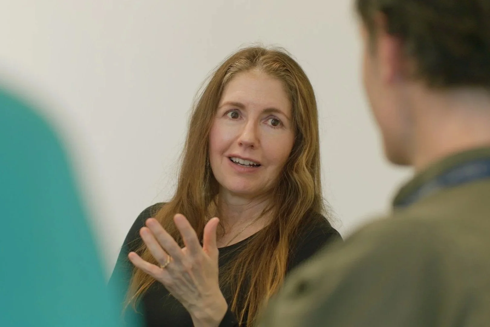 Patricia PIccinini speaking to stem cell researchers
