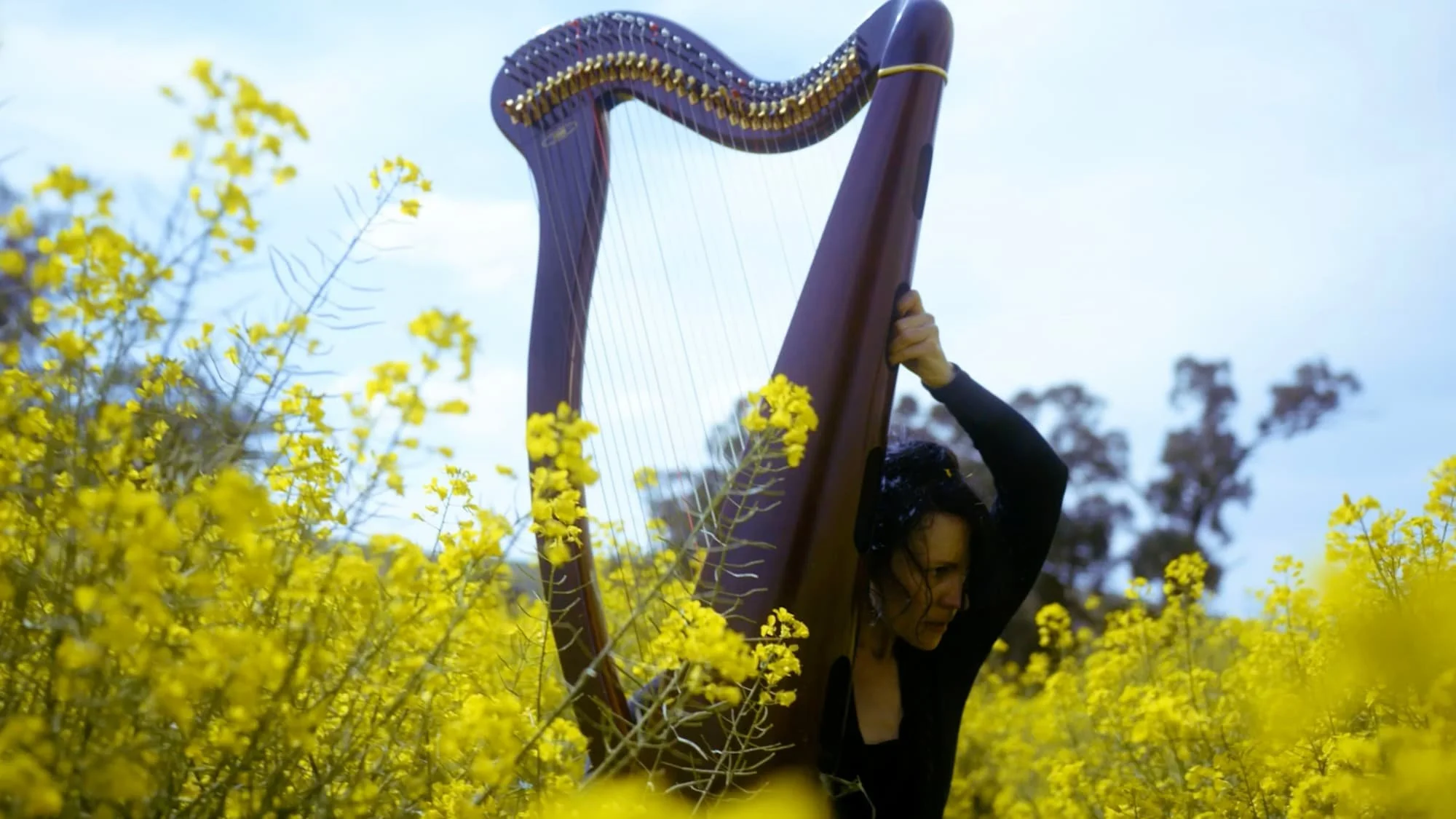 Artist Jen Valender carrying a harp through a canola field.