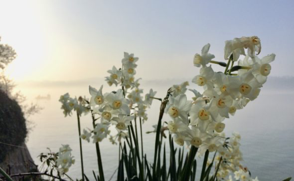 Dates For Your Diary