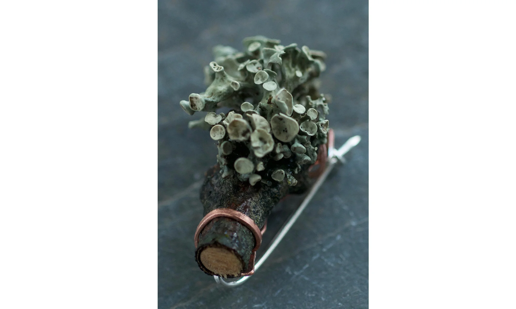 Lichen Brooches (Copy) (Copy)