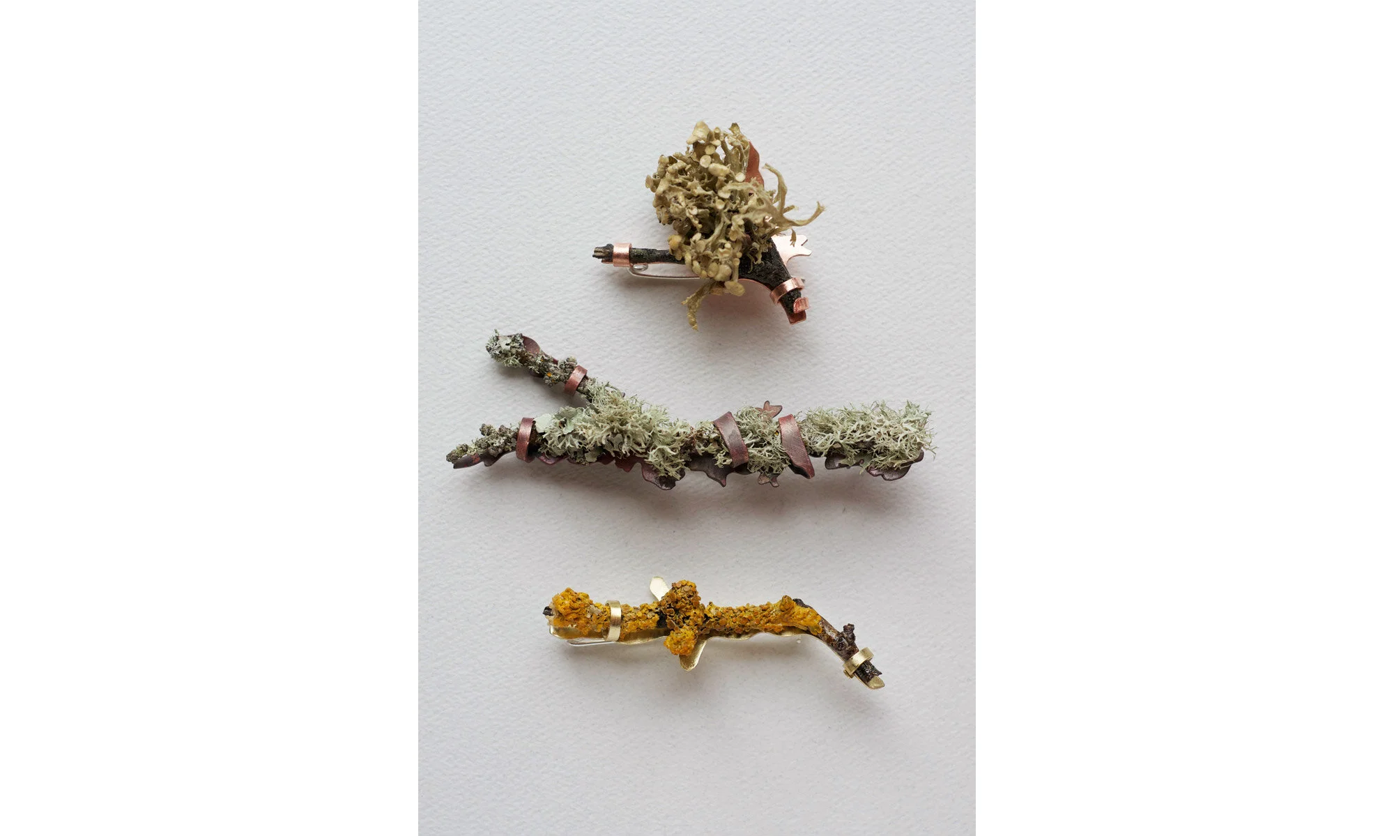 Lichen Brooches (Copy) (Copy)