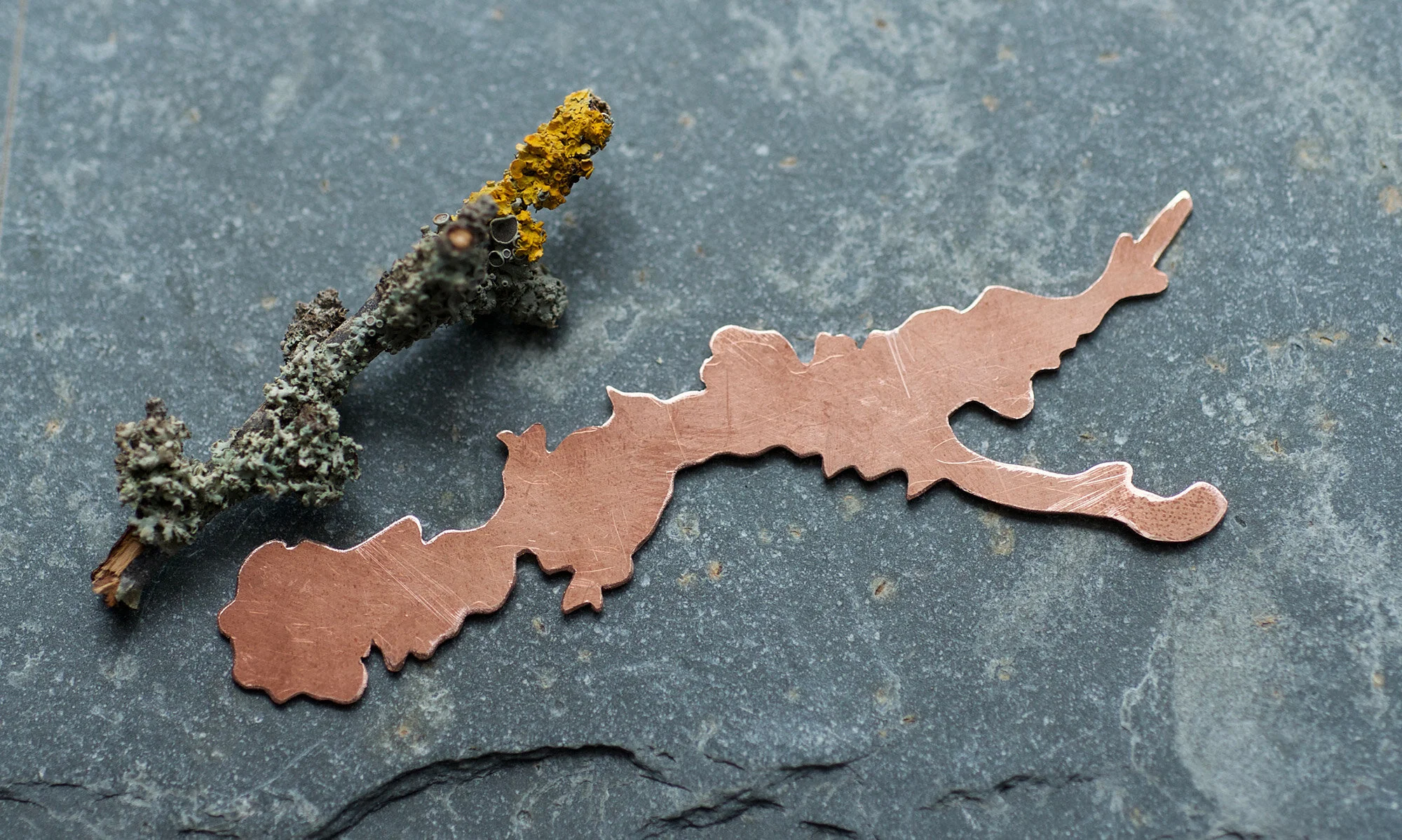 Lichen Brooches (Copy) (Copy)