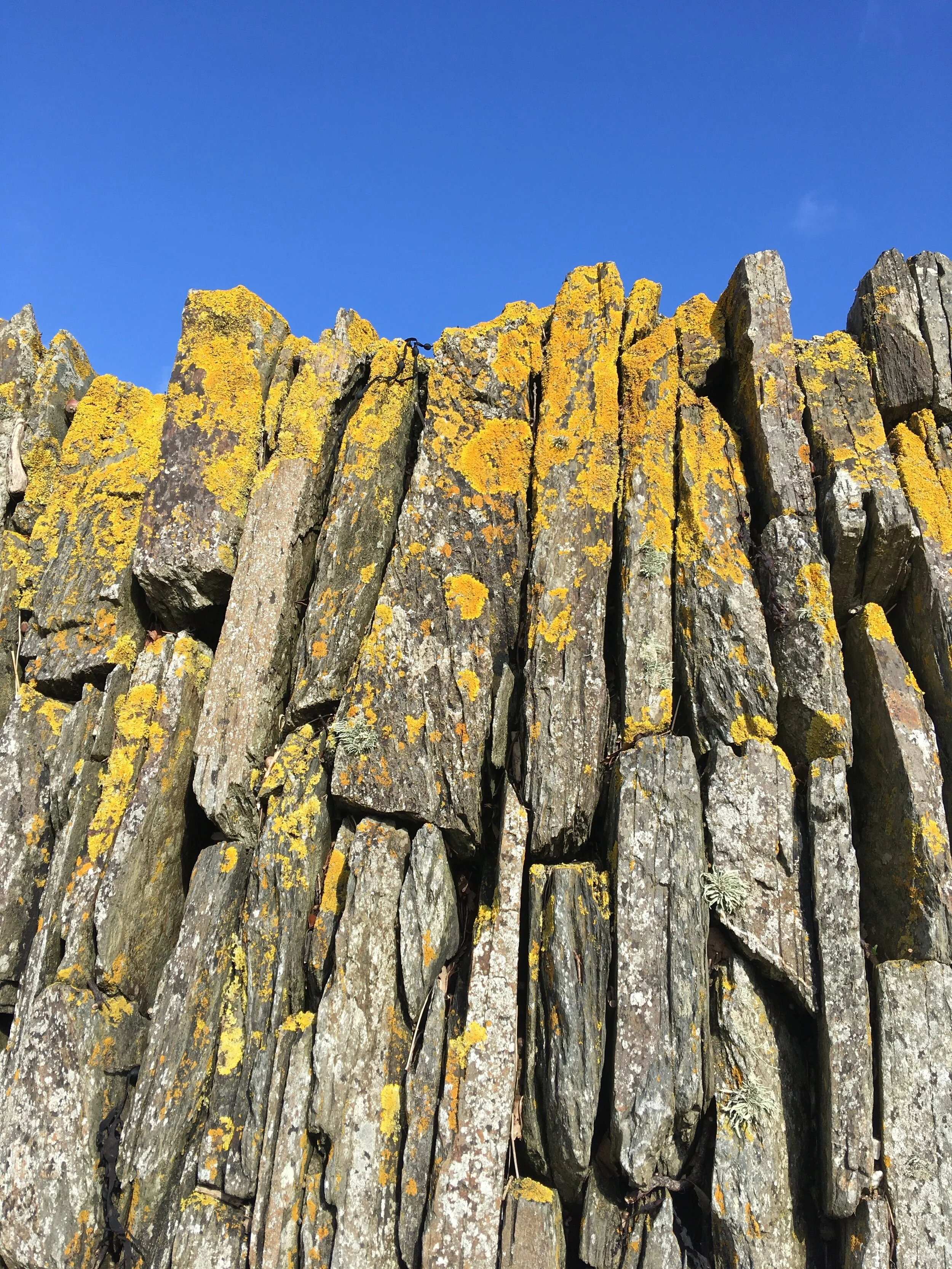 Cornish stone wall