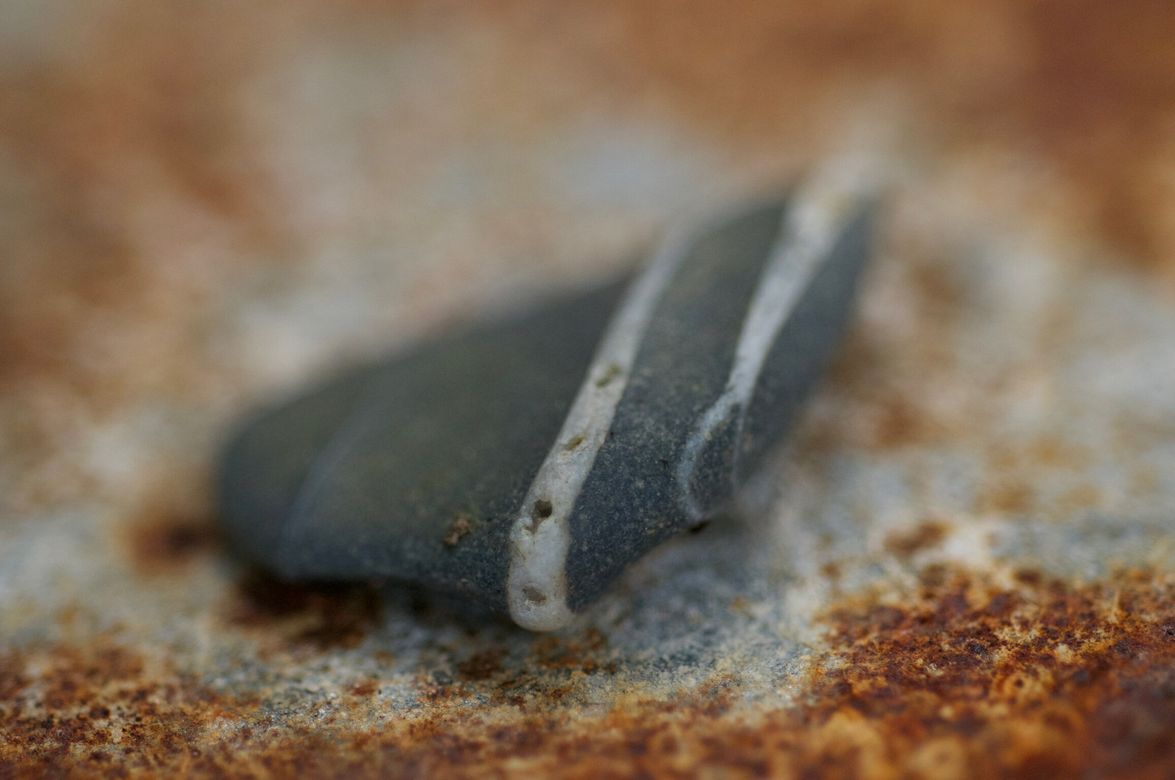 geological quartz seam