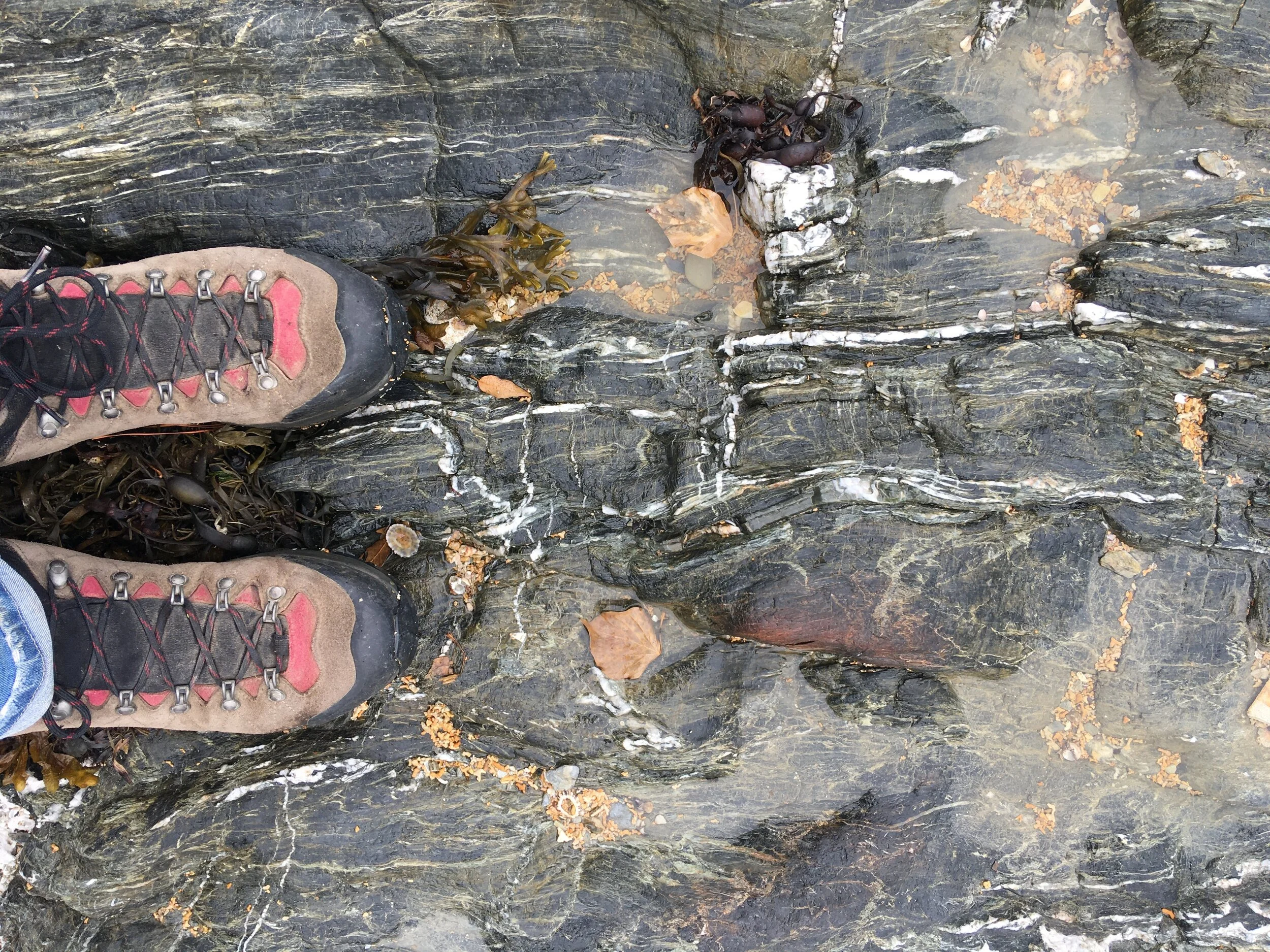 Walking across Mylor harbour