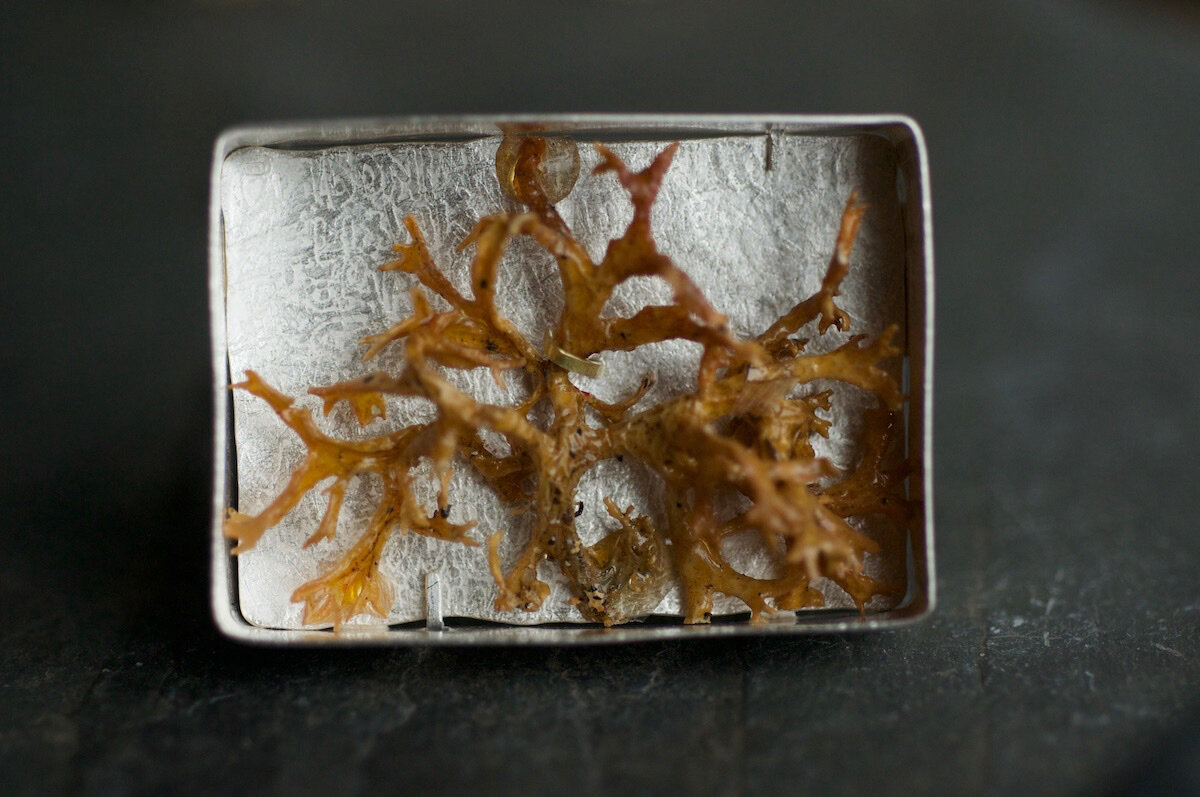 Talisman framed lichen brooch (Copy)