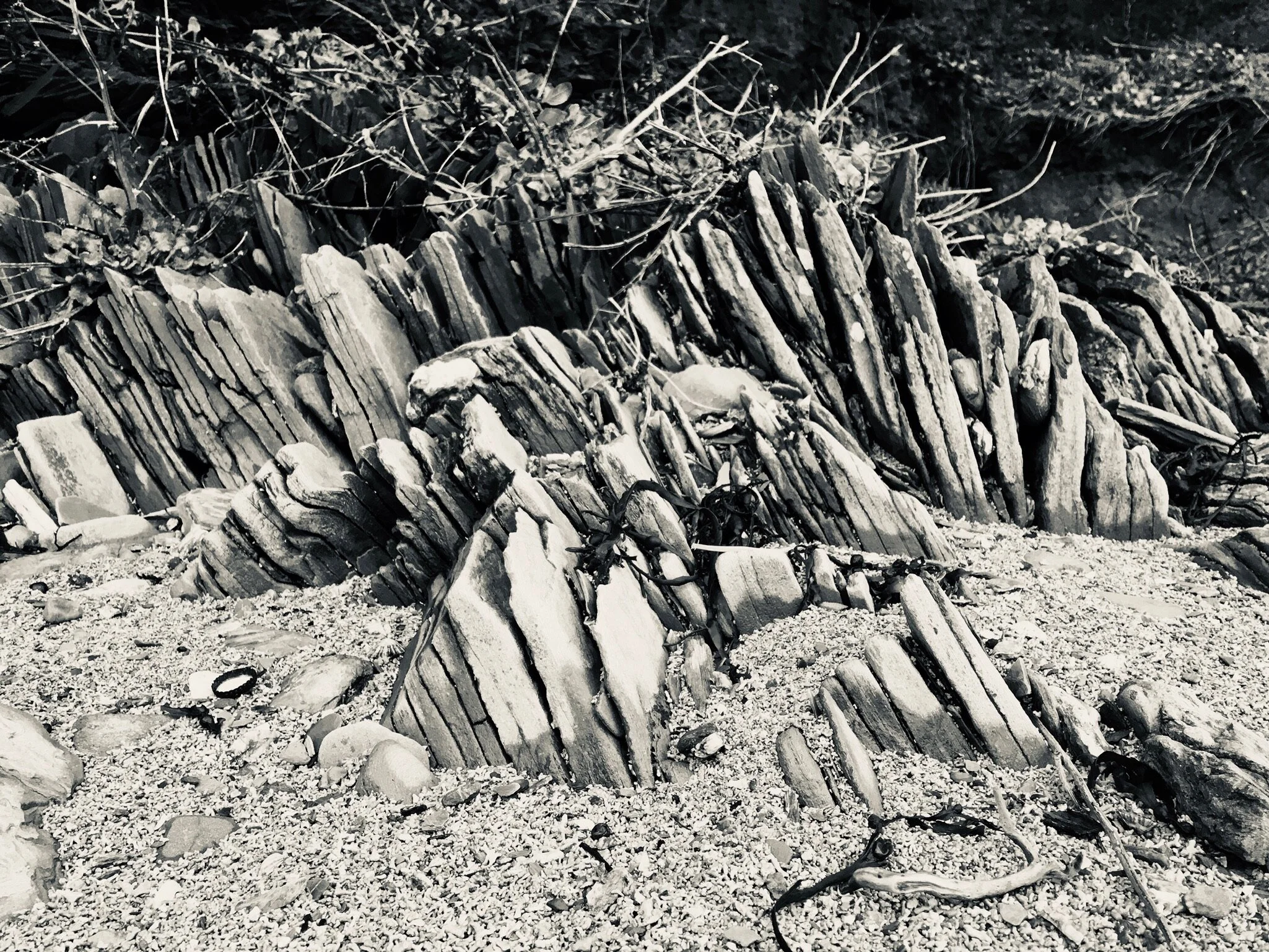 rocky coastal foreshore