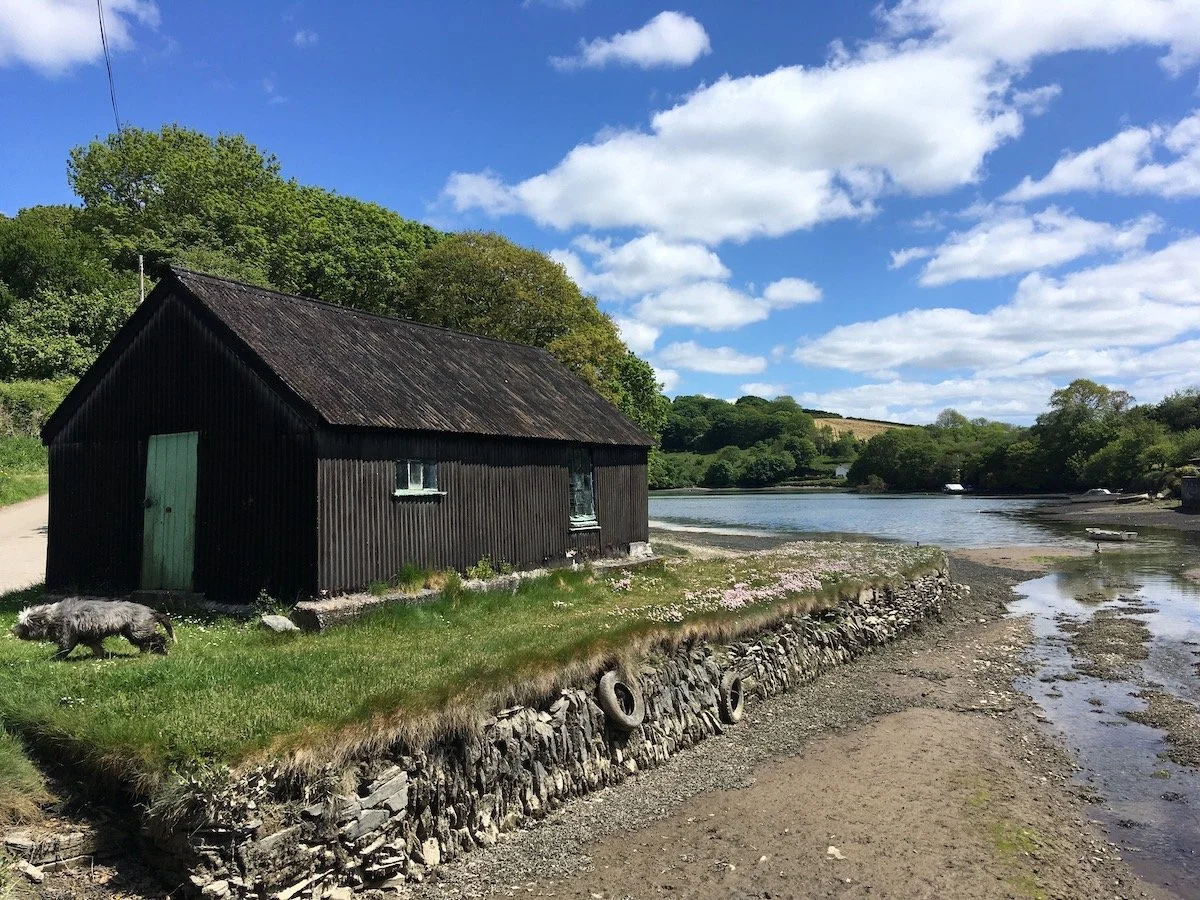 Coobe creek boat shed.JPG