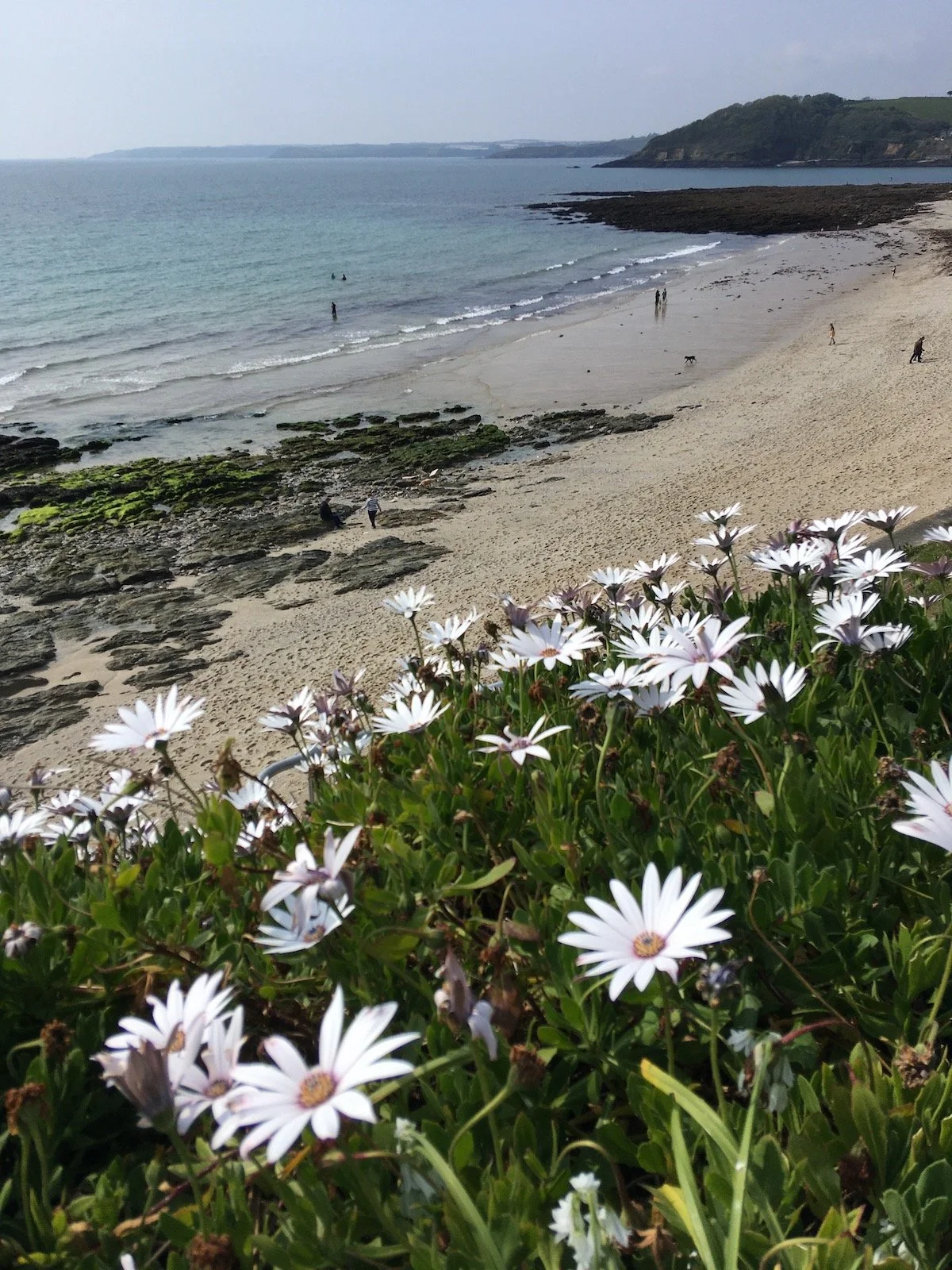 Castle beach falmouth.JPG