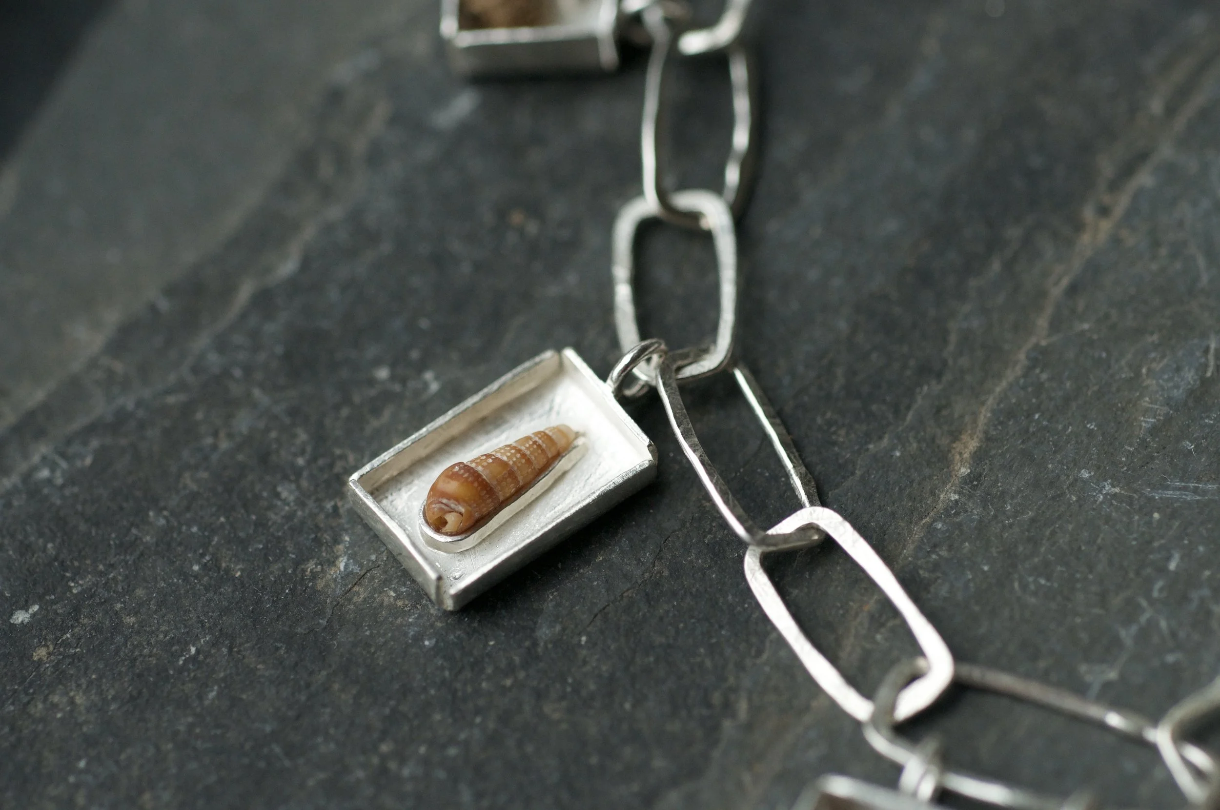 Collectors necklace with box charms shell.jpeg