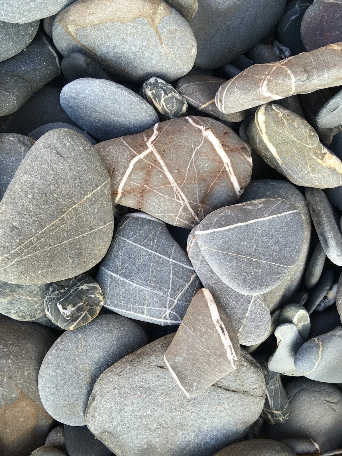 beach pebbles with quartz seams.jpg
