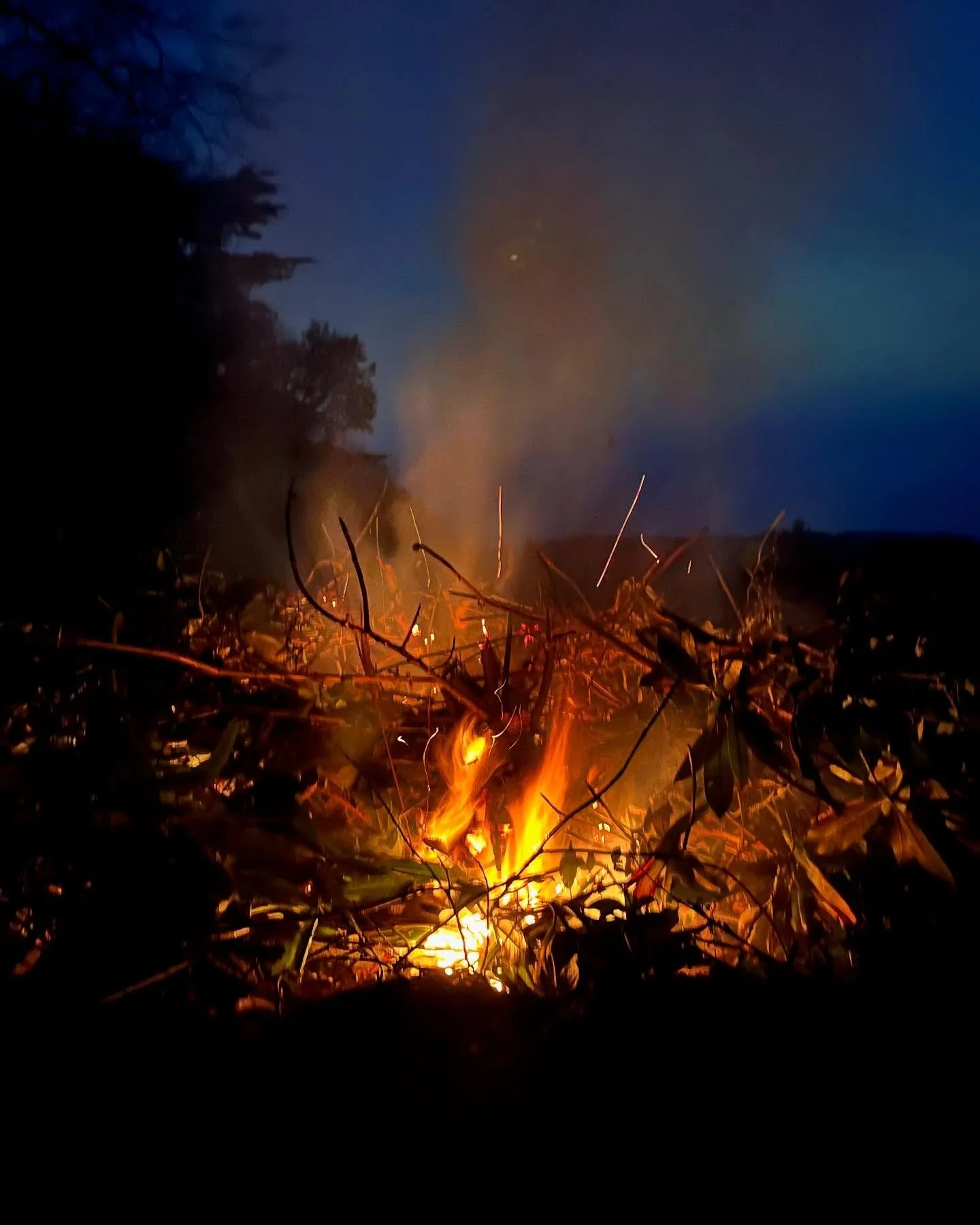 I love a good bonfire. This time last year we had cleared a lit if rhododendron ponticum from our land. It grows from nothing so the best thing to do is burn it. We cooked jacket potatoes in the embers. Small but perfect things that bring me immense 