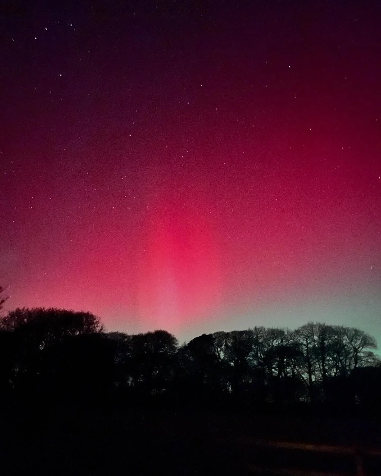 Well that was utterly joyous 🤩

#aurora