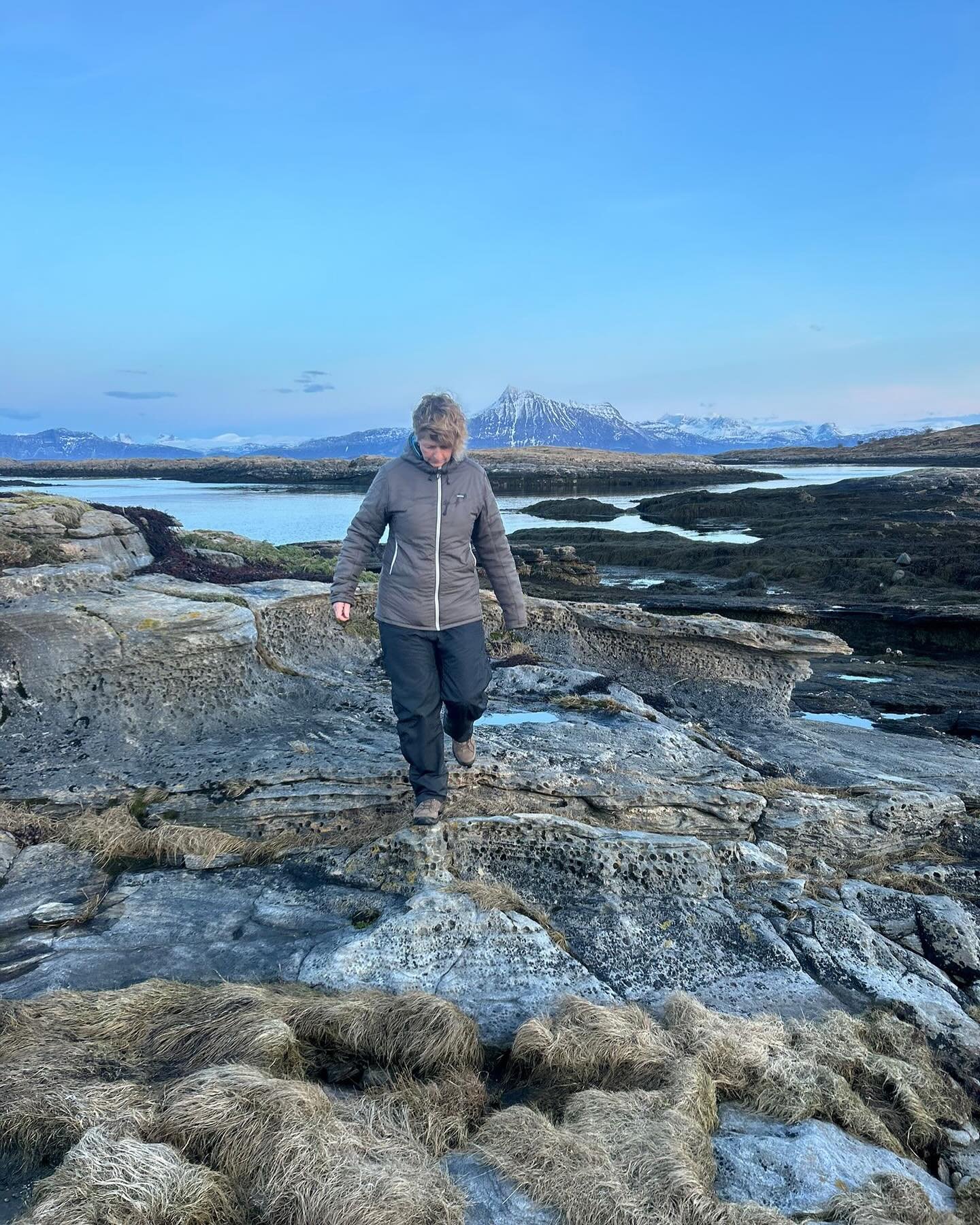 Yesterday was possibly my best day. 
it started with a sauna and my first dip in the Arctic sea which I think could be addictive!  Then I wandered to the north point of the island and stood and watched the birds and the mountains and the stillness of