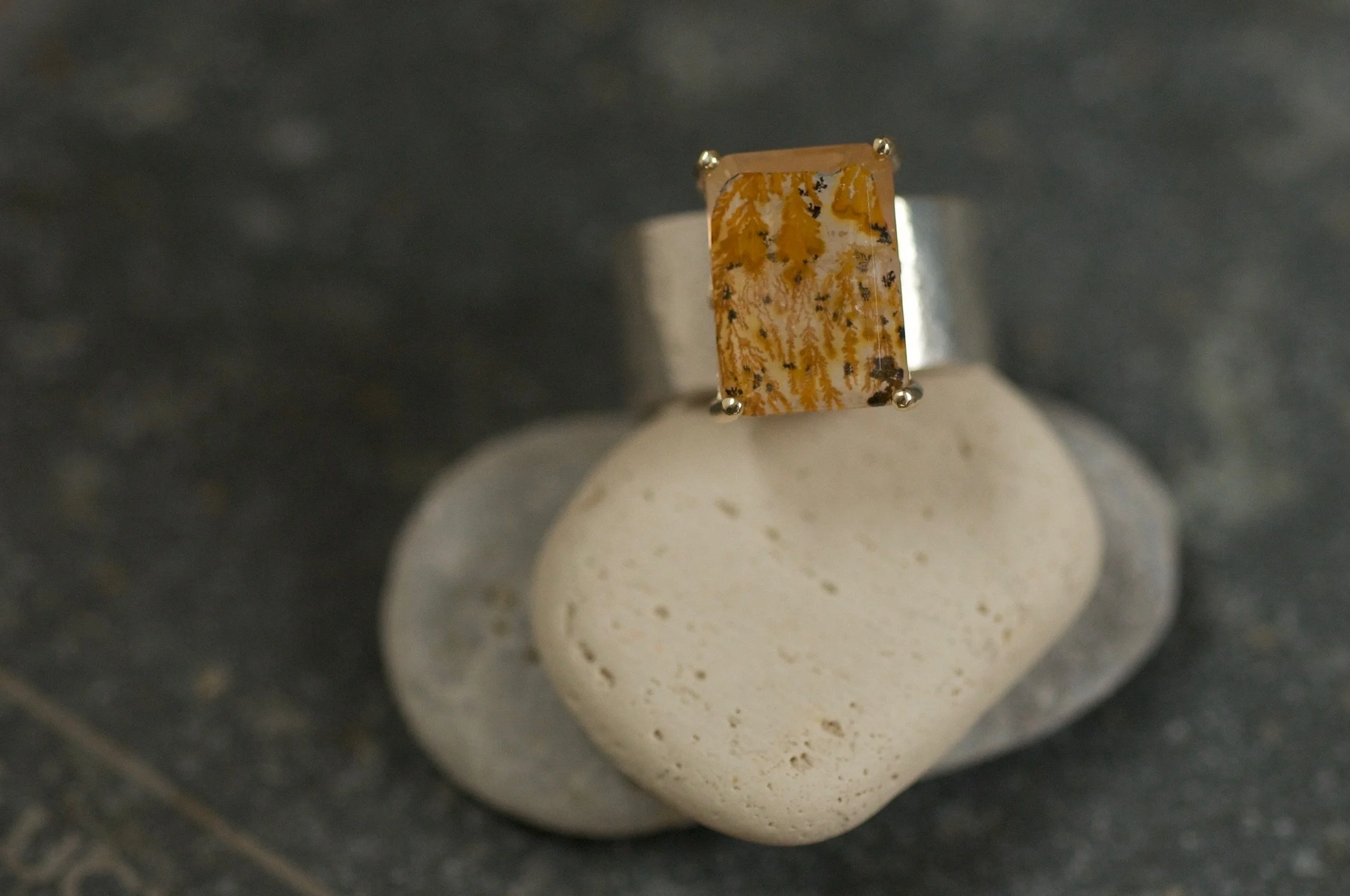 Dentritic agate ring 2.jpeg