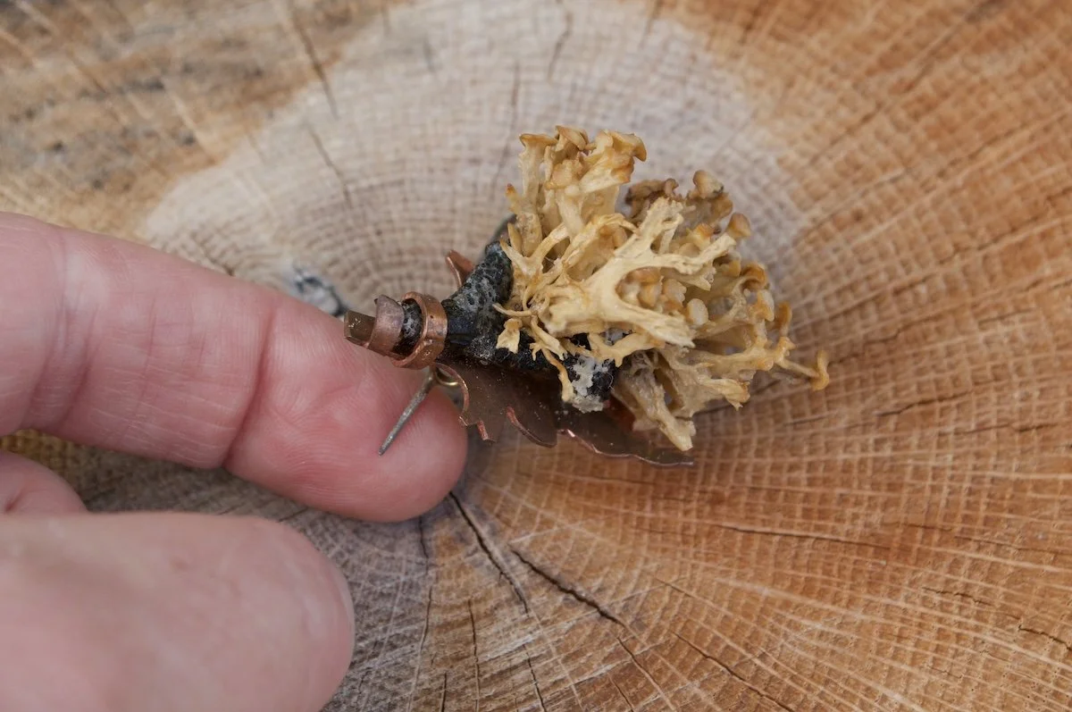 Lichen brooch 3