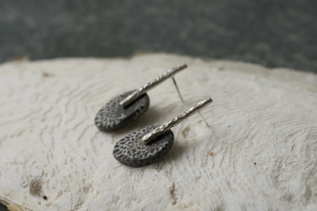 Fossilised wood slices with silver bar earrings