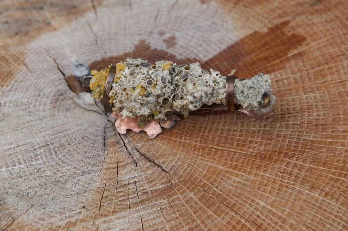 Lichen brooch medium copper backed 2.jpeg