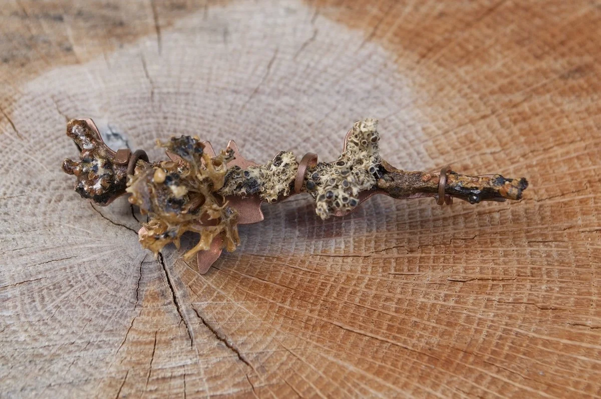 Lichen lovers brooch 3