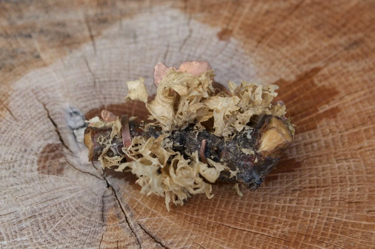 Lichen brooch 4