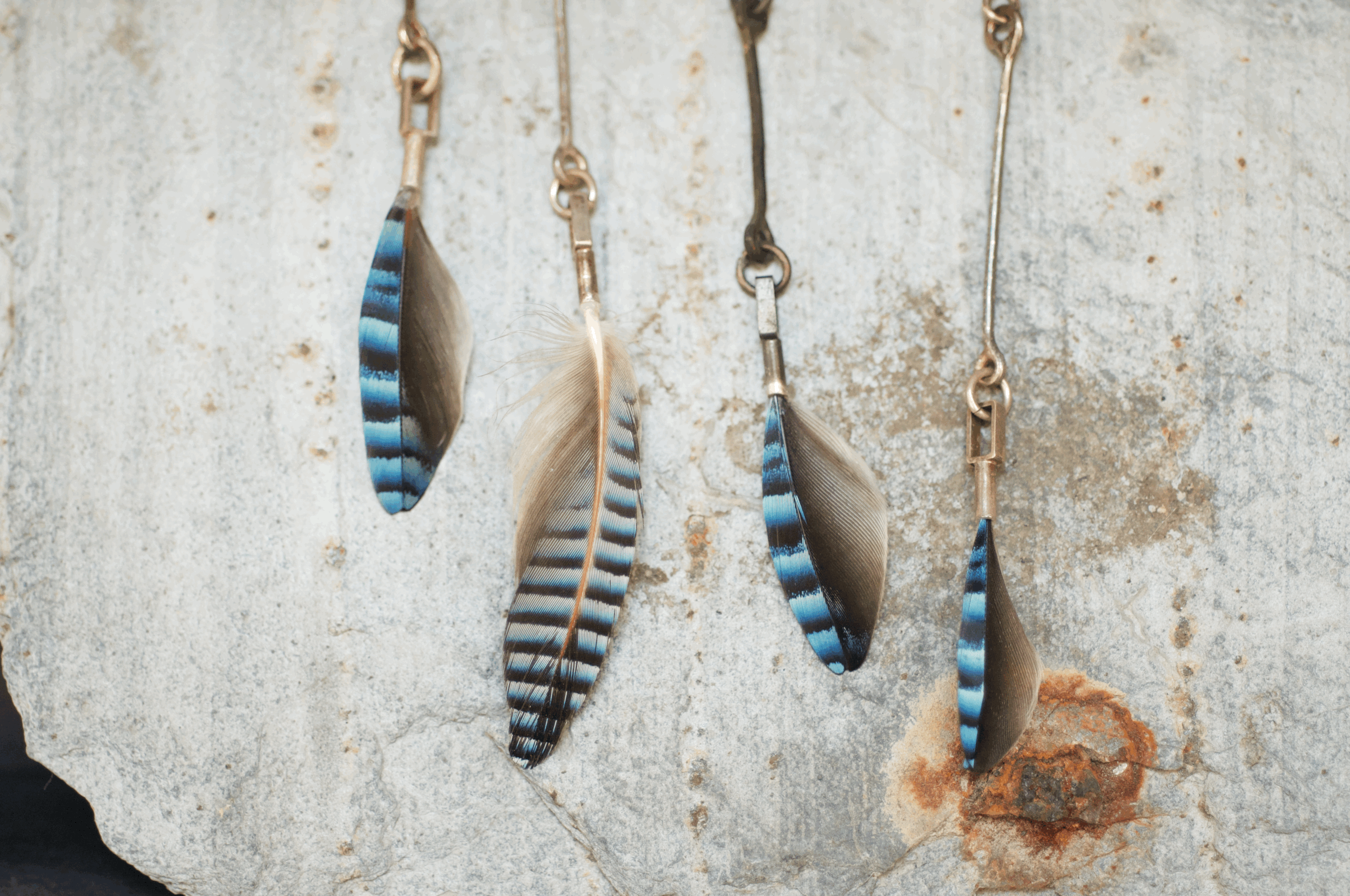 Jay feather earring