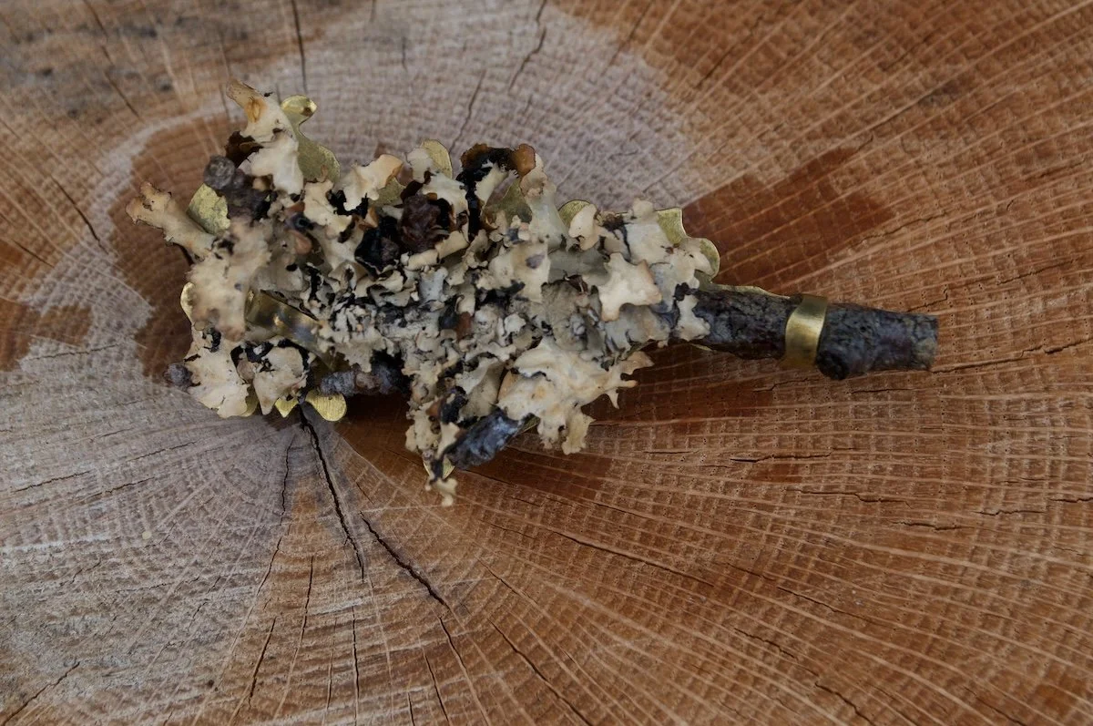 Lichen brooch 2