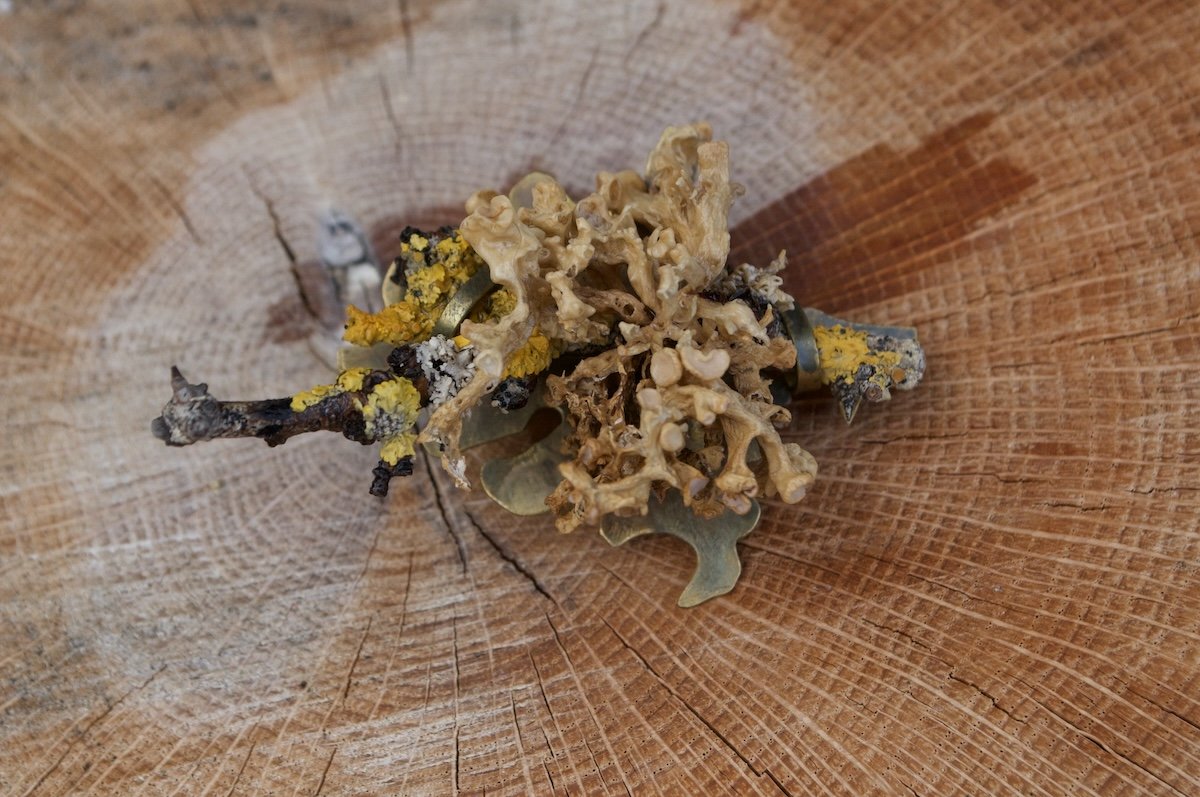 Lichen brooch 1